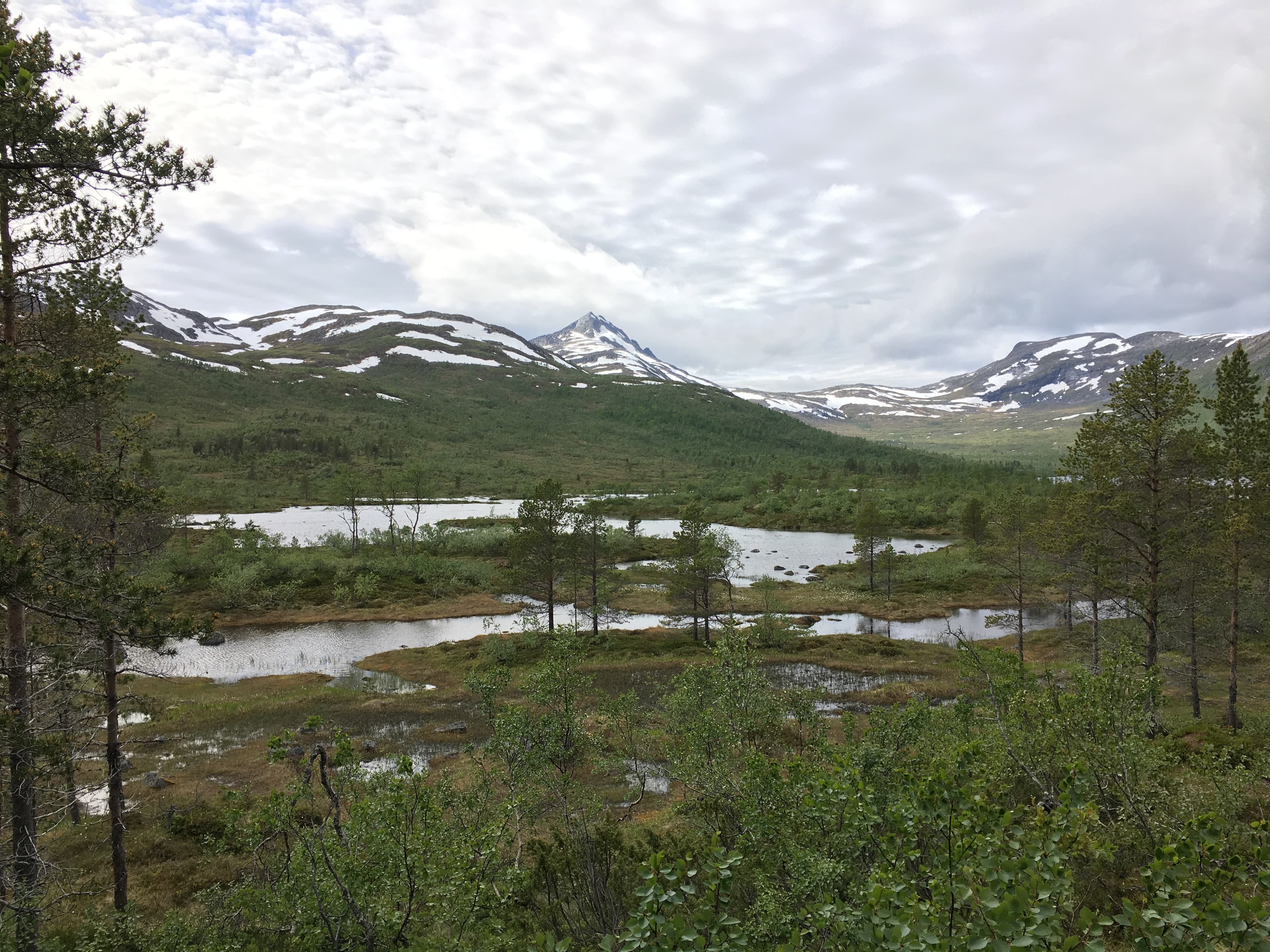 Ånderdalen National Park