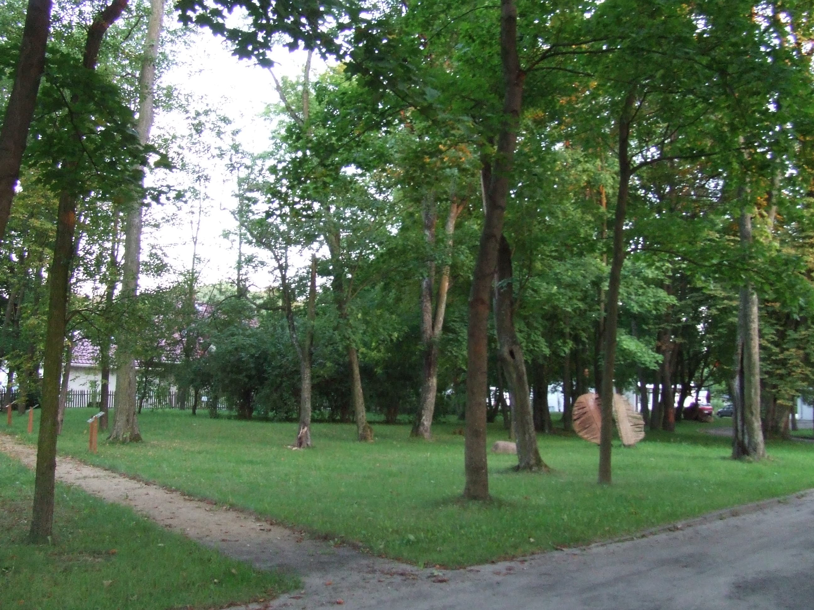 Manor park in Łucznica