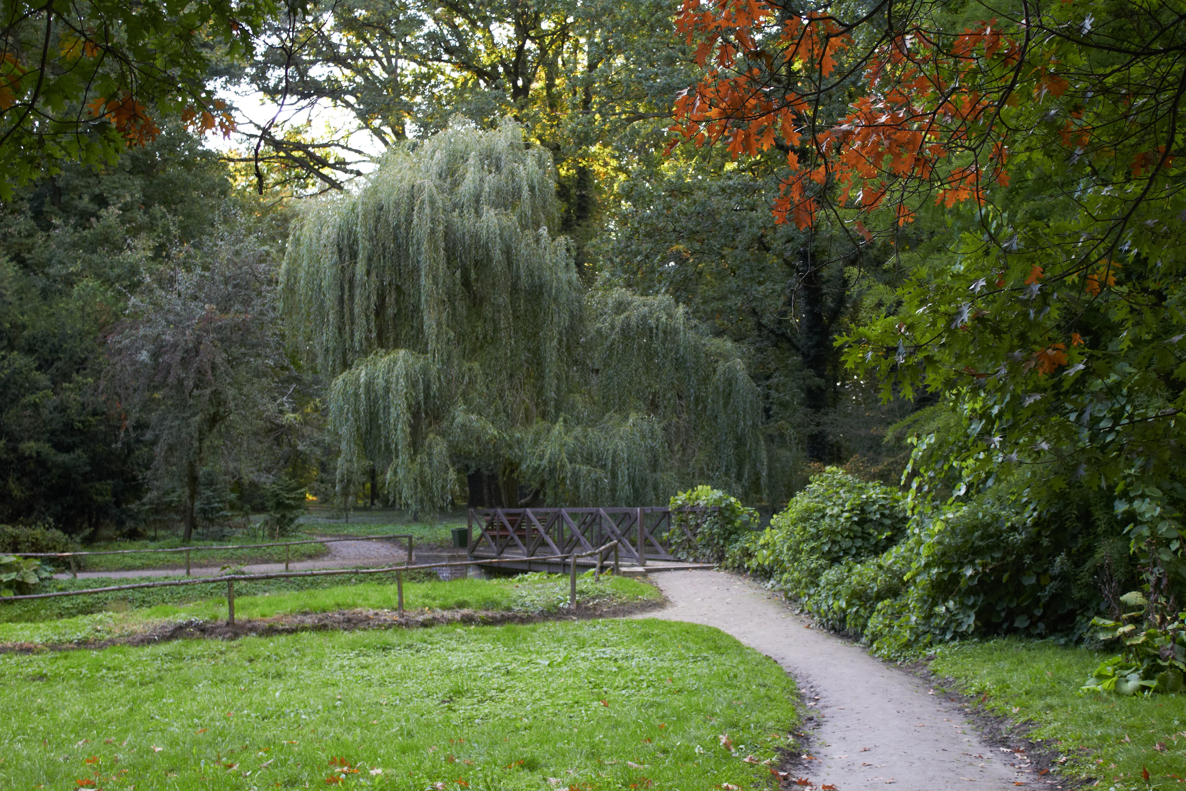 Park pałacowy w Śmiełowie