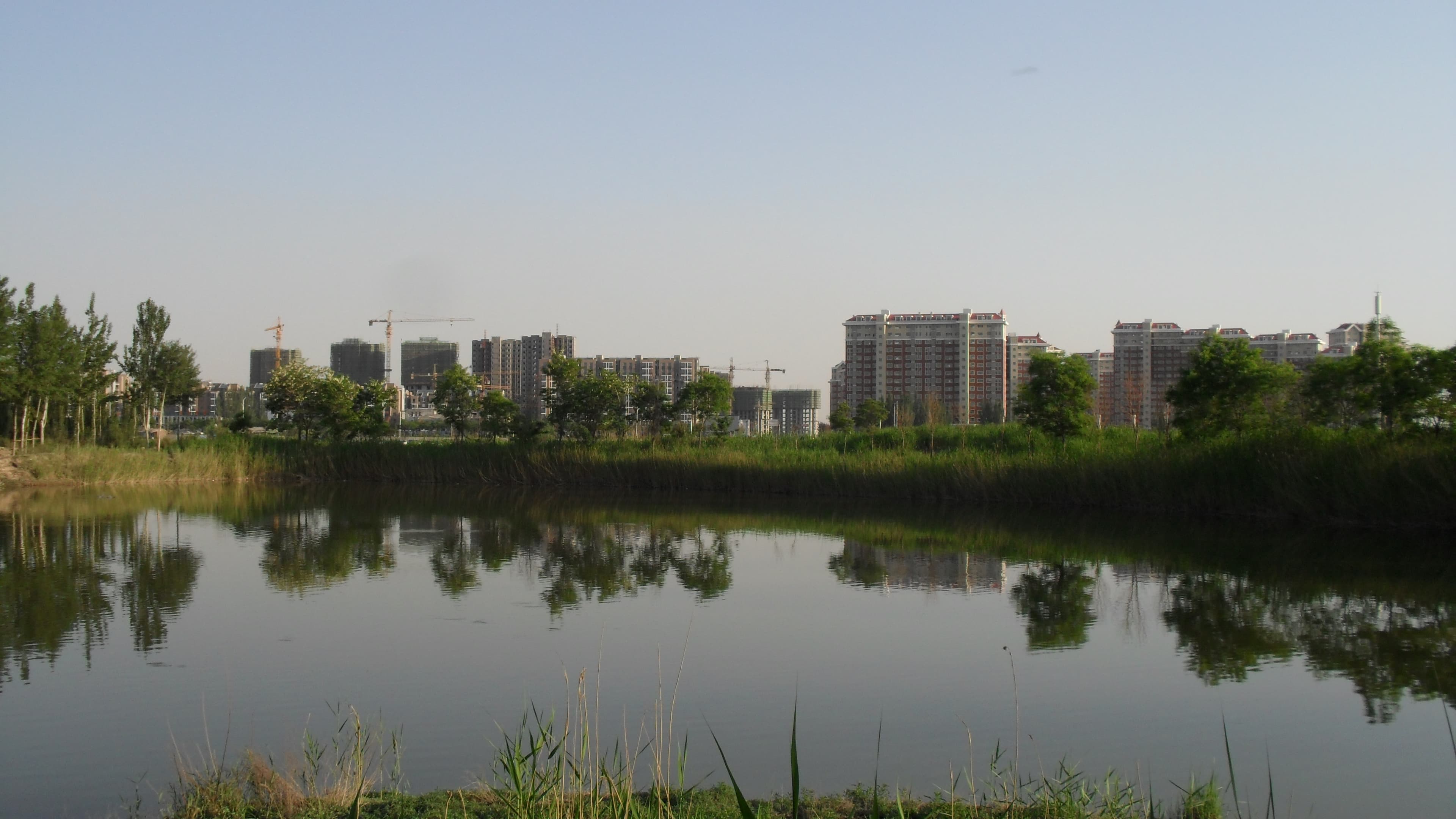 Jinfeng District