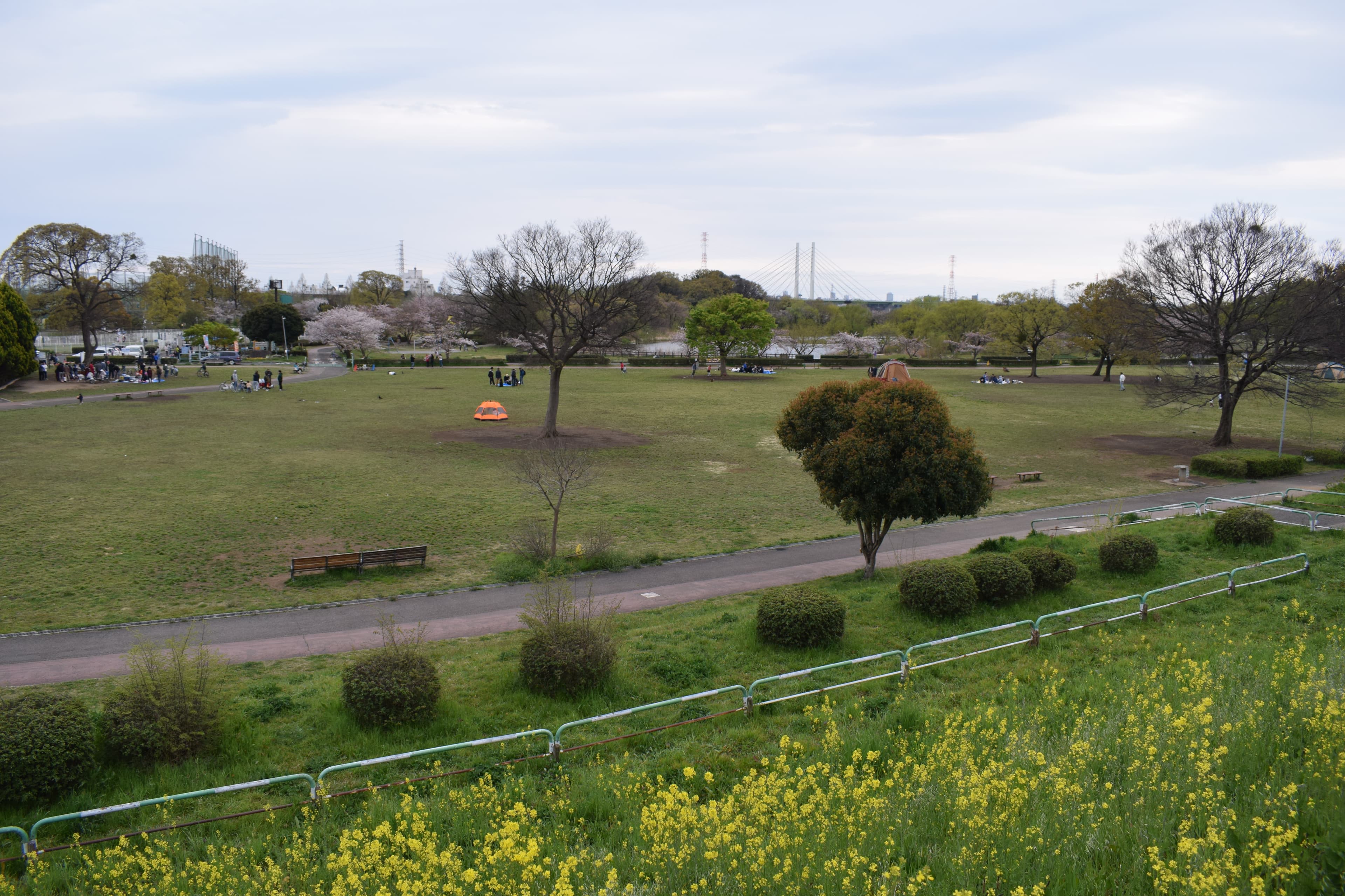 Saiko Dōman Green Park