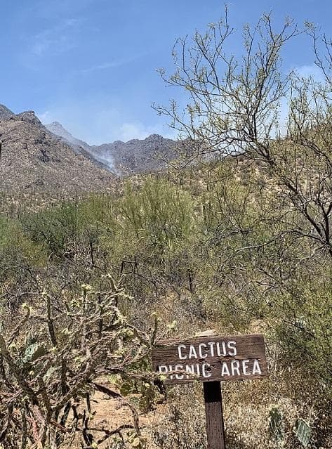 Cactus Picnic Area