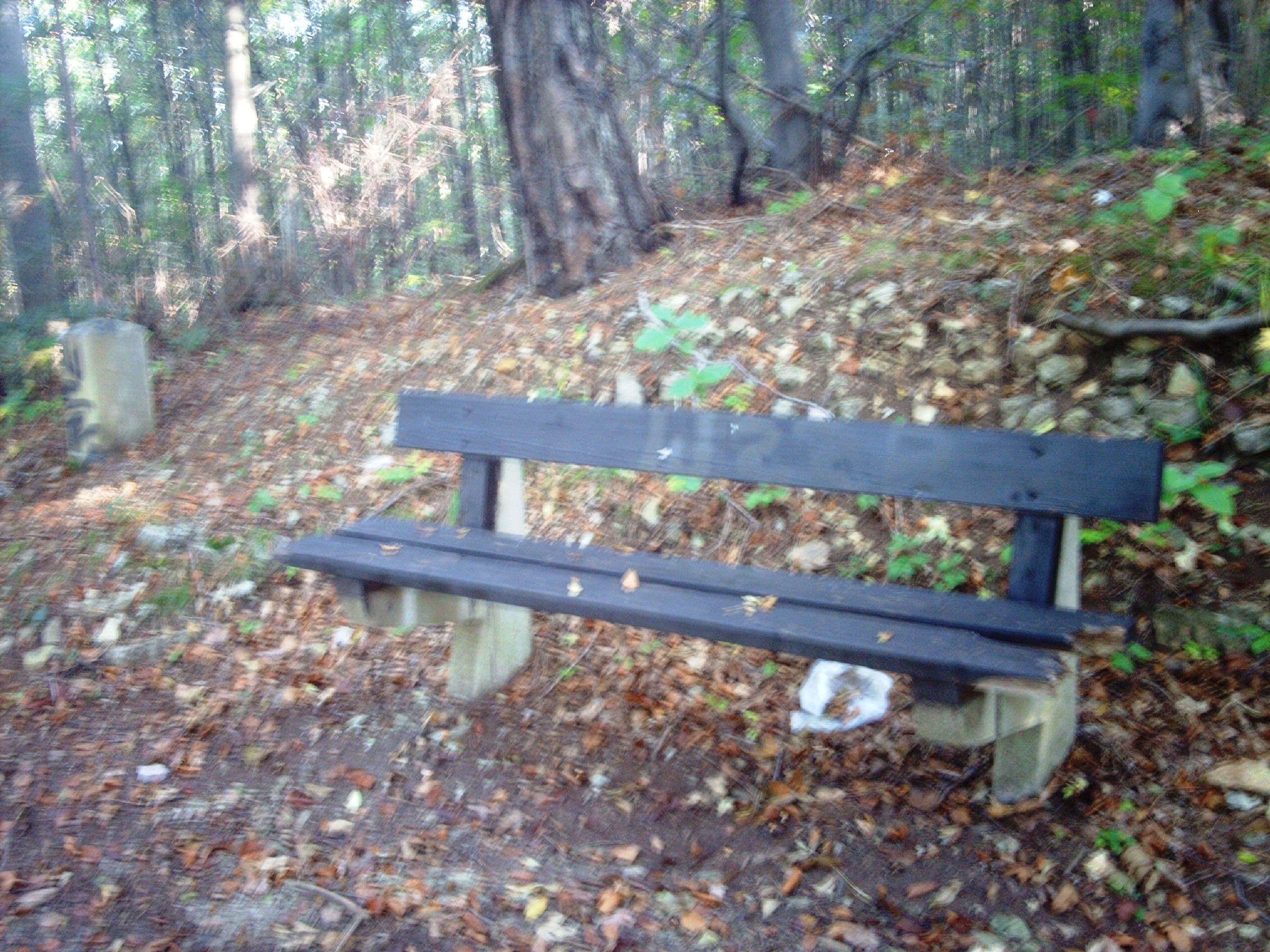 Alexisstein (Arnstadt)