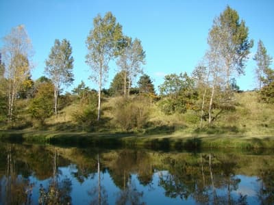 Amsterdamse Waterleidingduinen