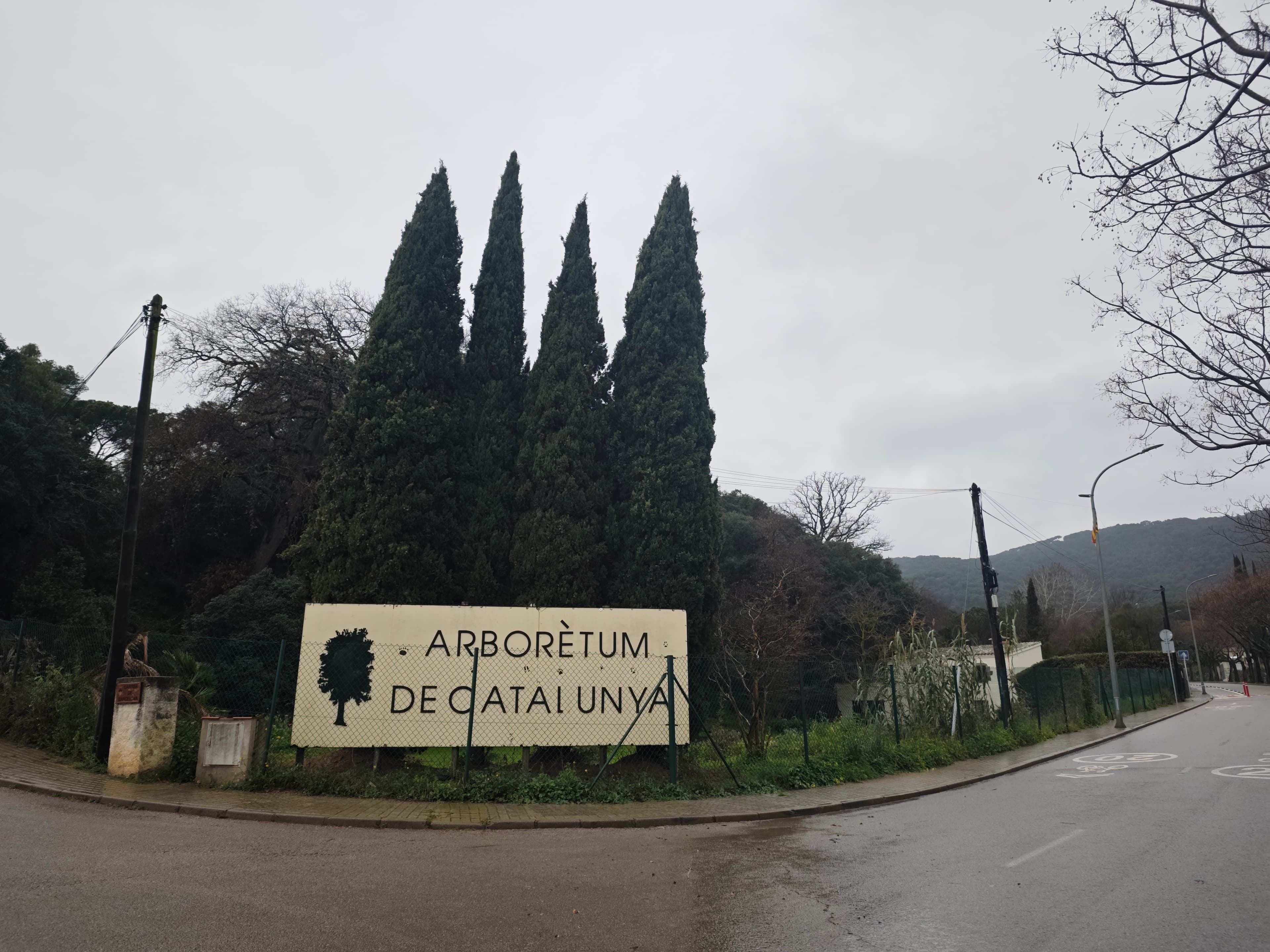 Arborètum de Catalunya