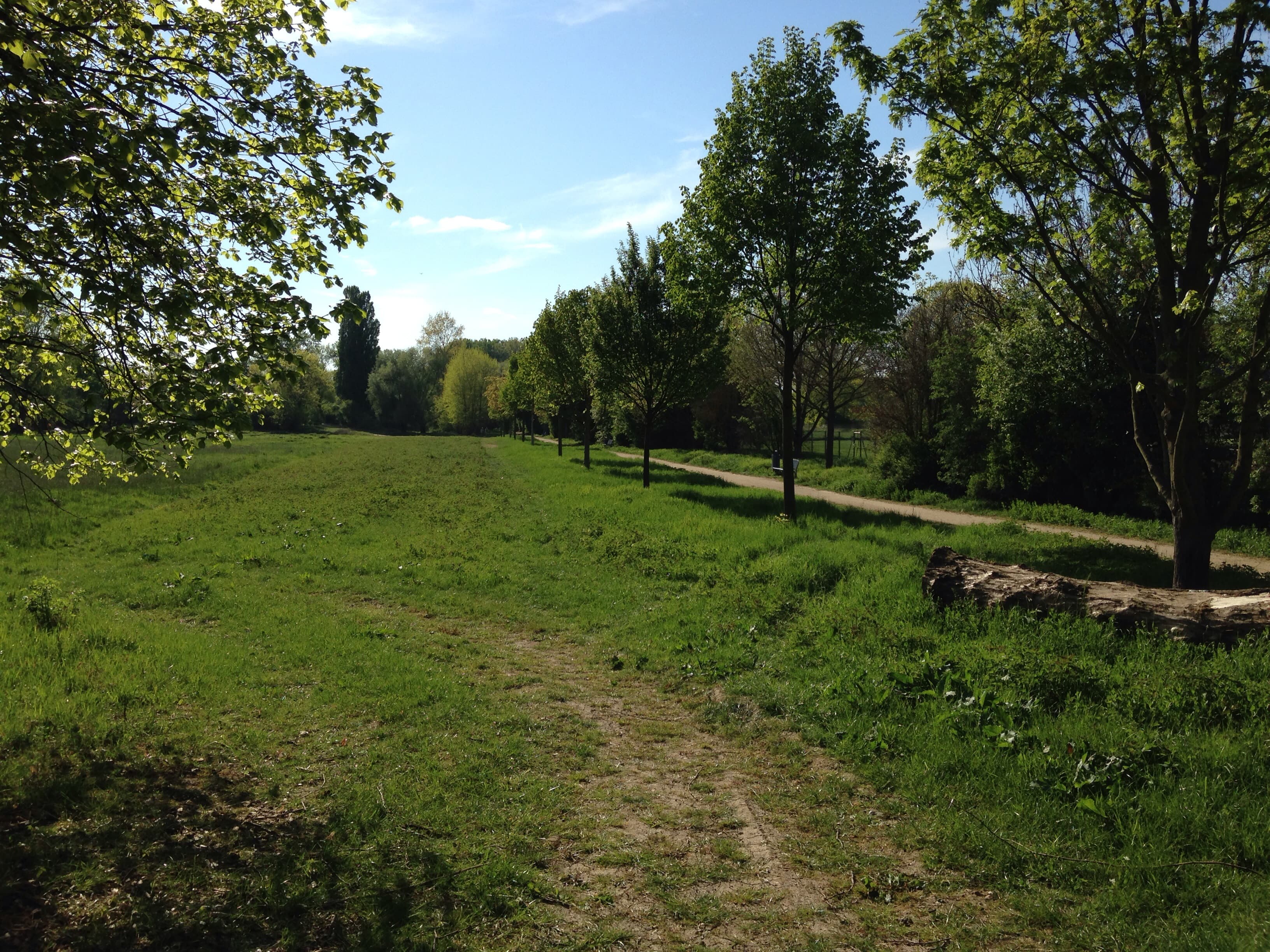 Burgpark Gustavsburg