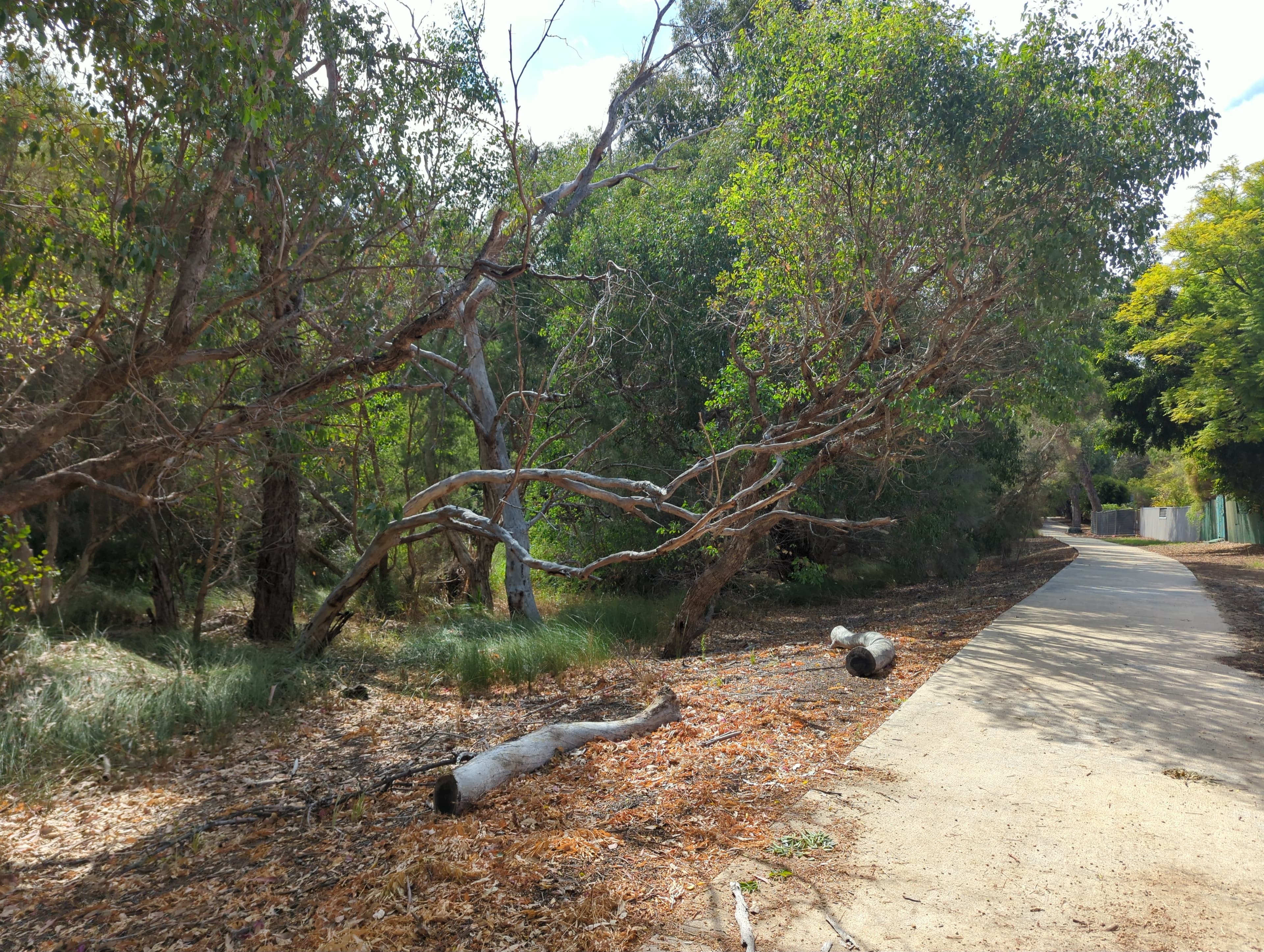 Bannister Creek Park