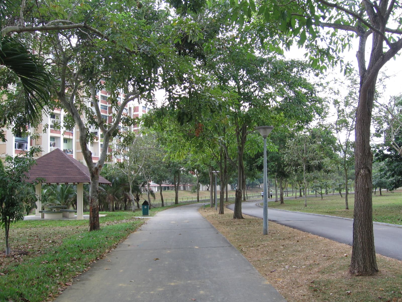 Bedok Town Park