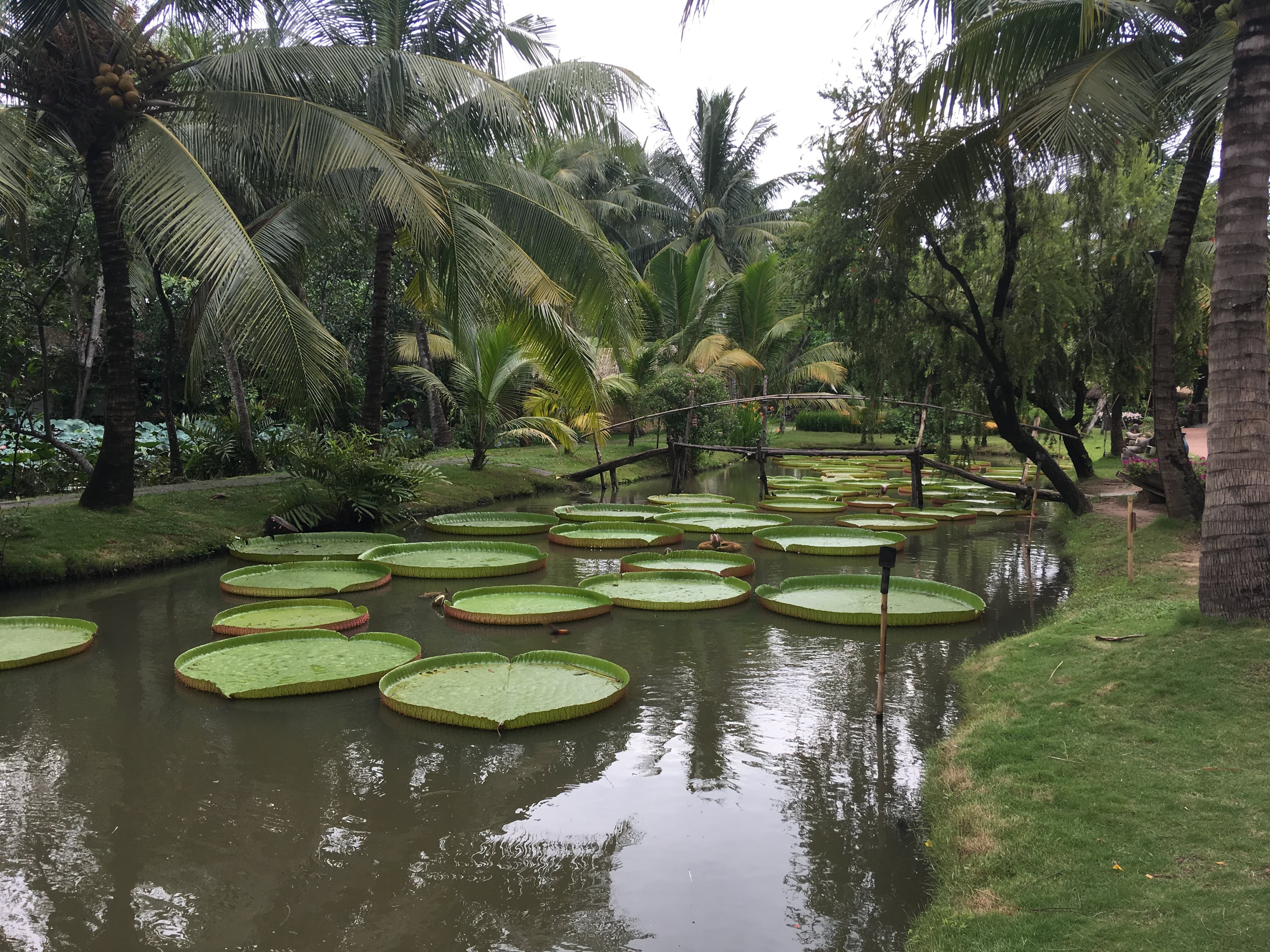 Binh Quoi Tourist Village