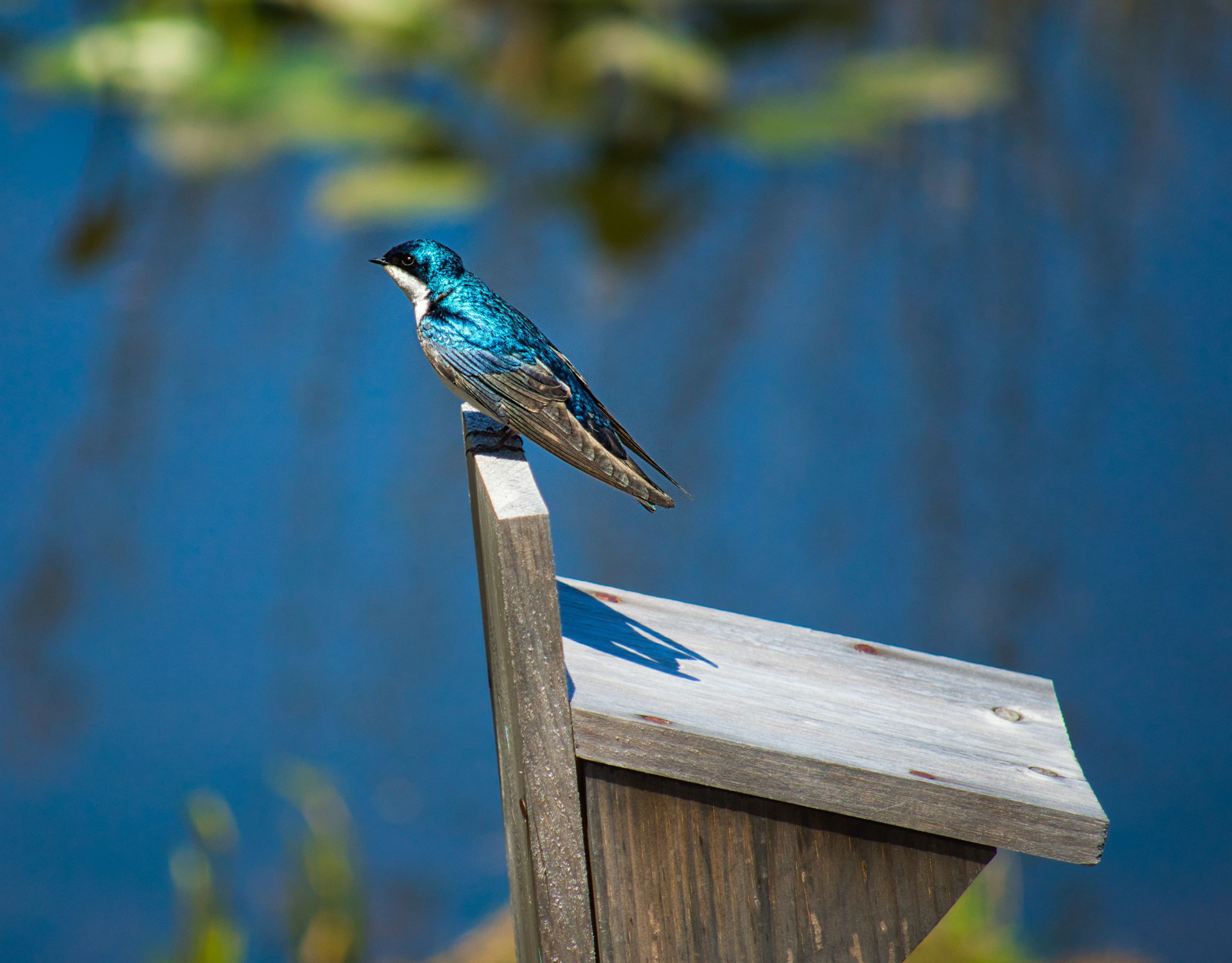 Silver Lake County Park