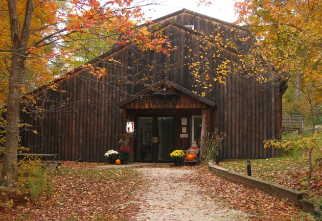 Birds of Vermont Museum