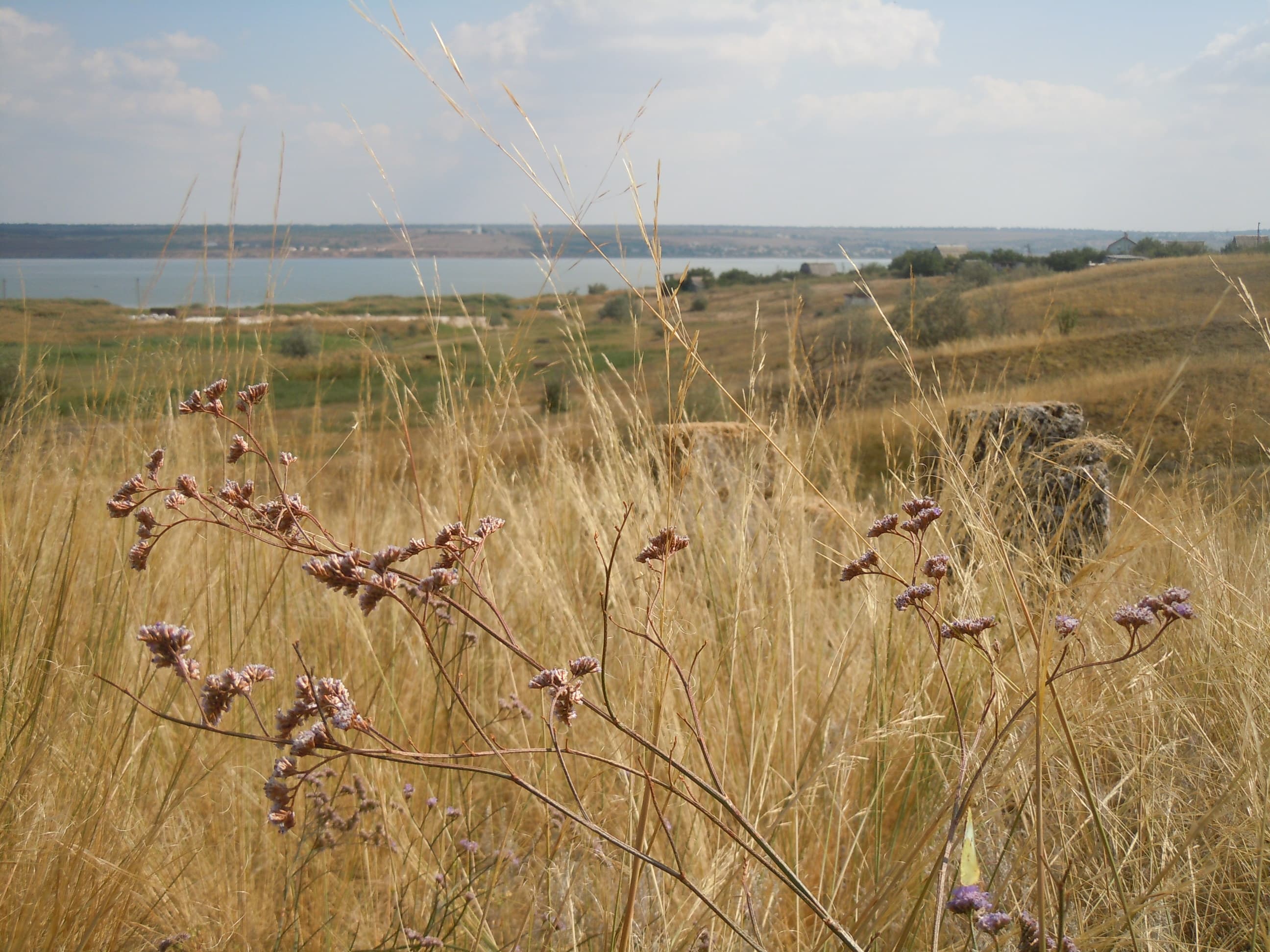 Rozdilna urban hromada