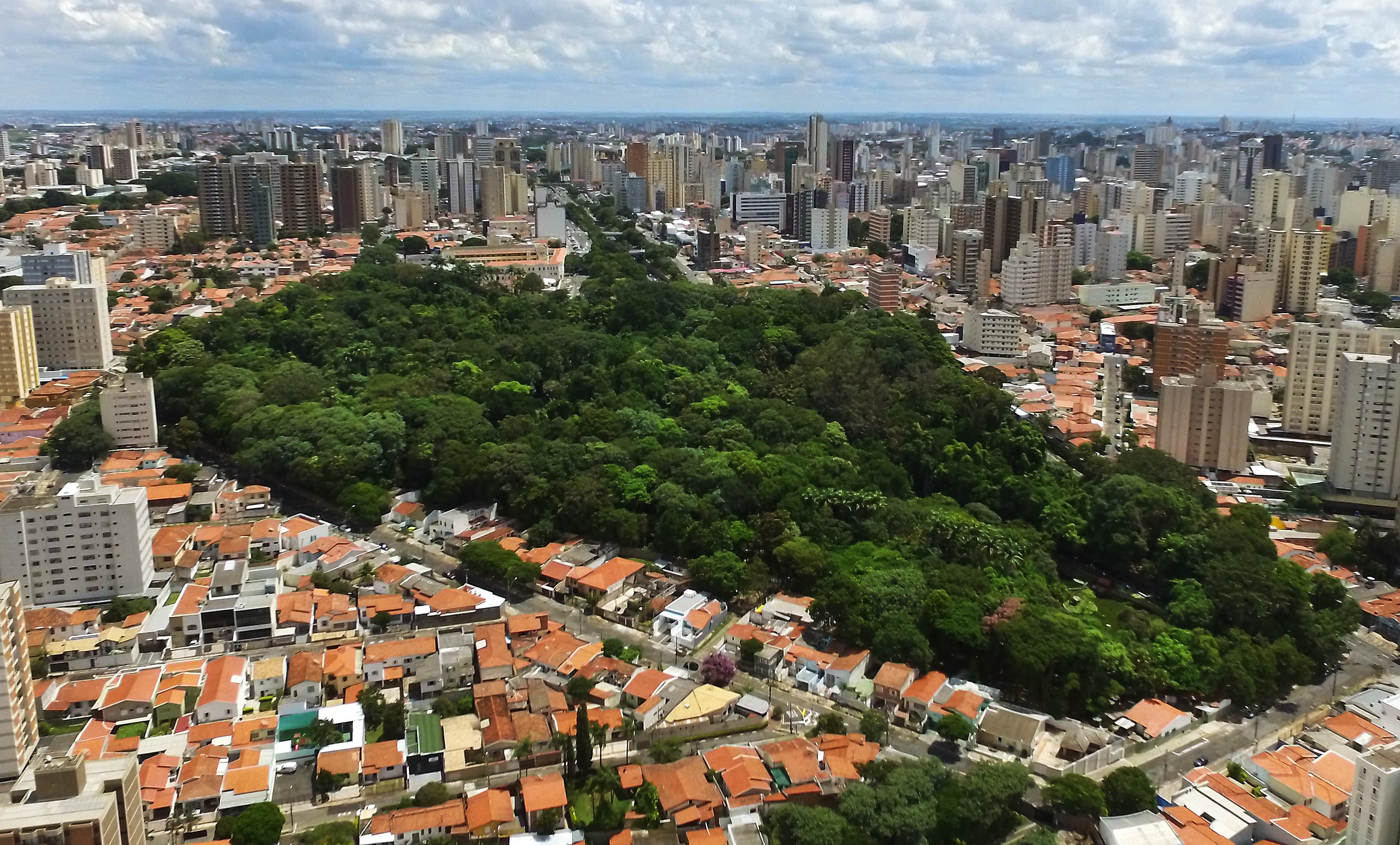 Bosque dos Jequitibás