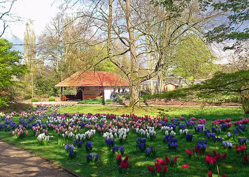 Stadtpark und Botanischer Garten Gütersloh
