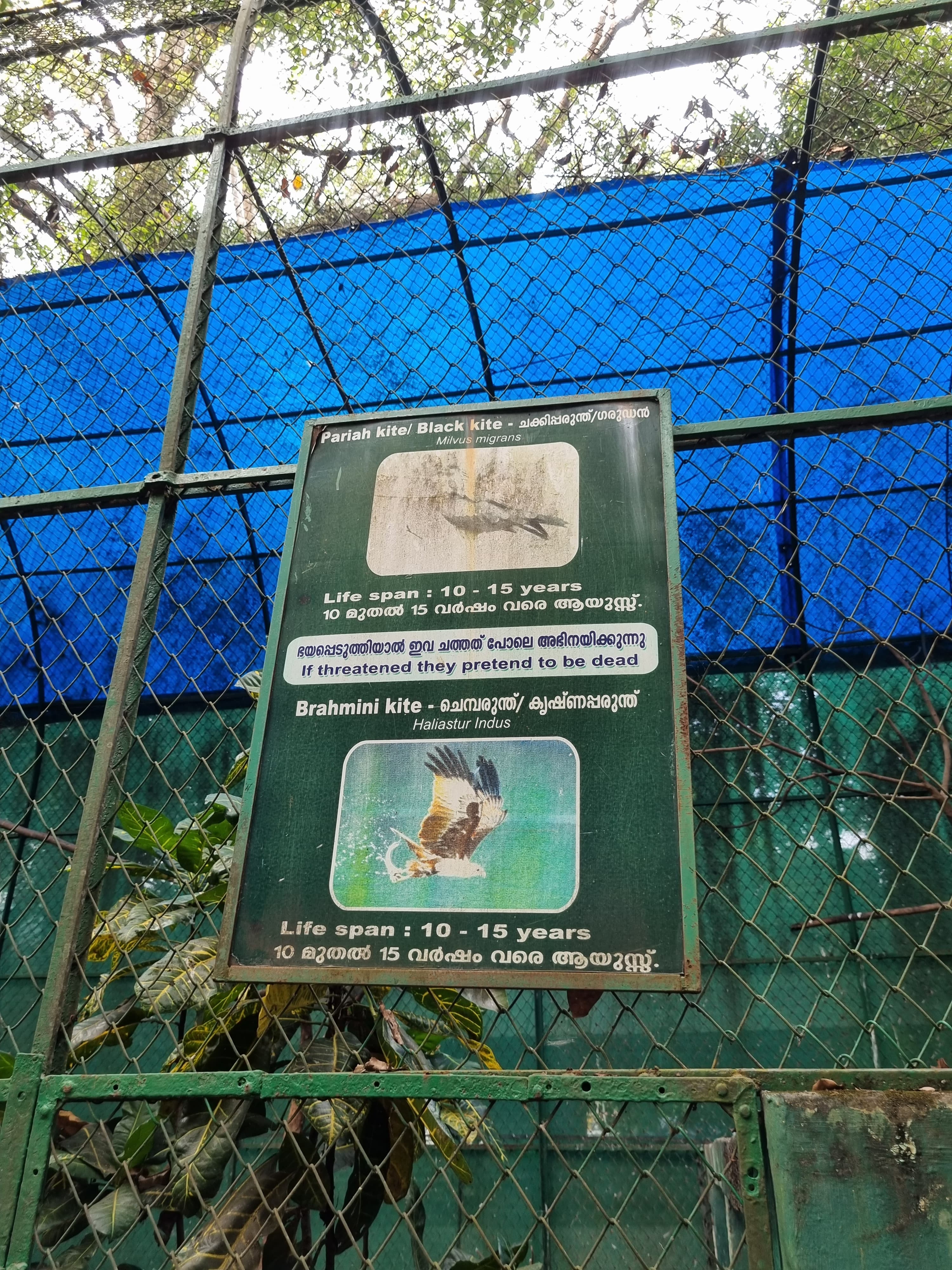 Thrissur Zoo