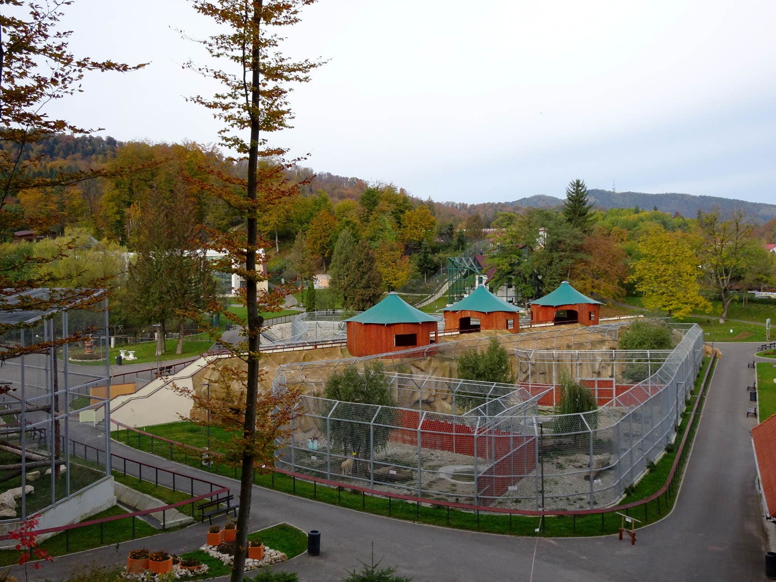Brașov Zoo