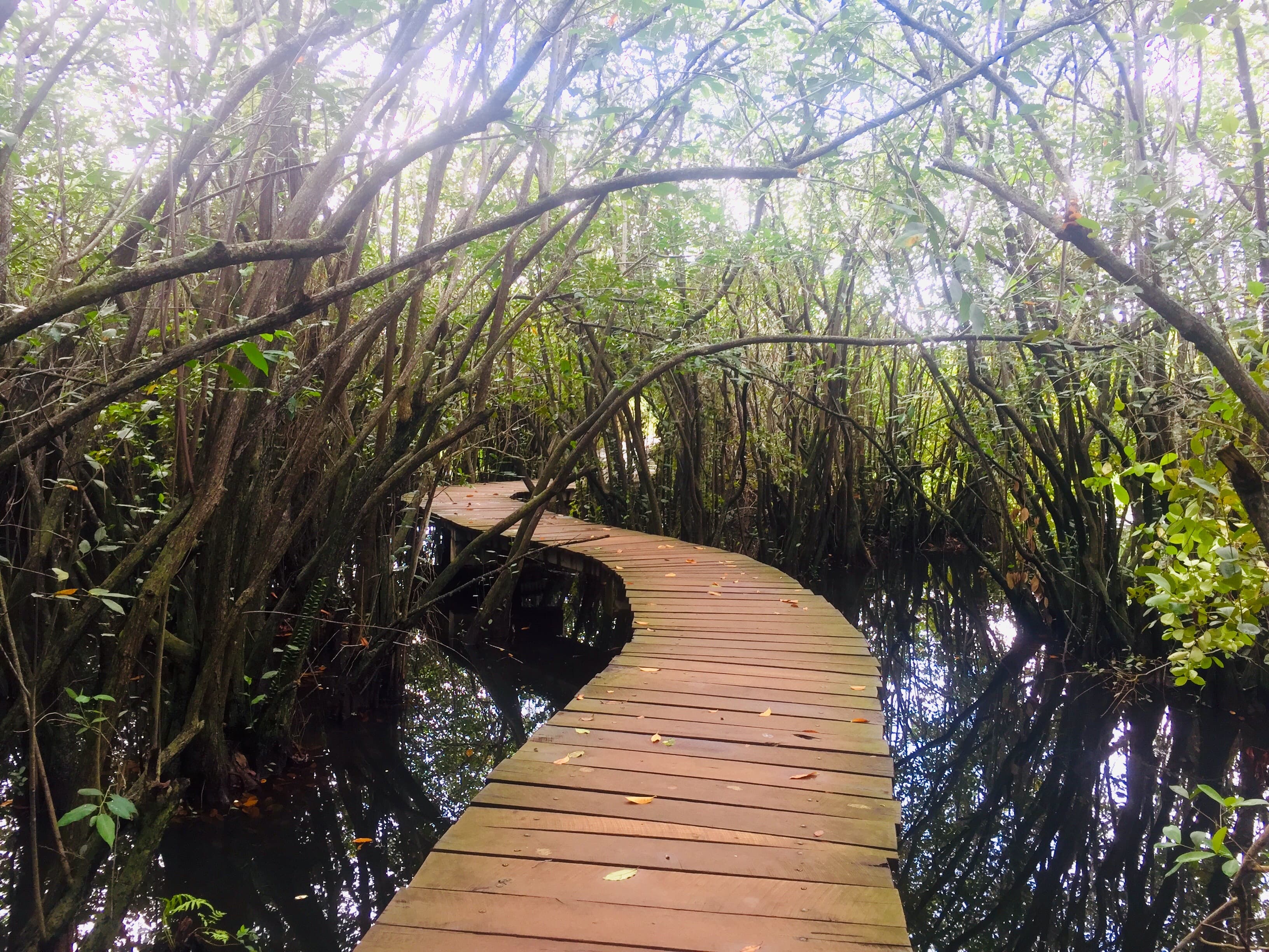 Beddagana Wetland Park