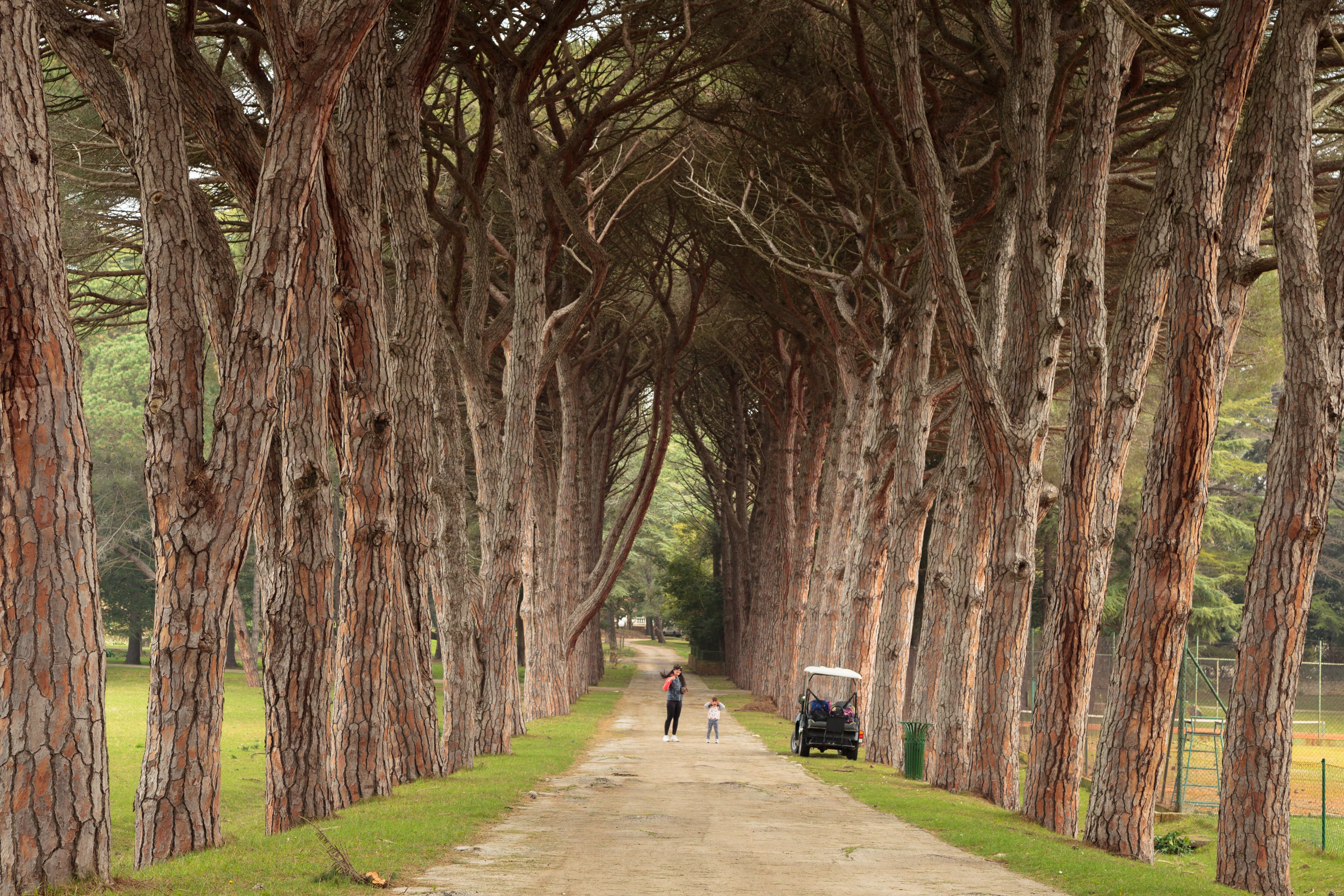 Brijuni National Park