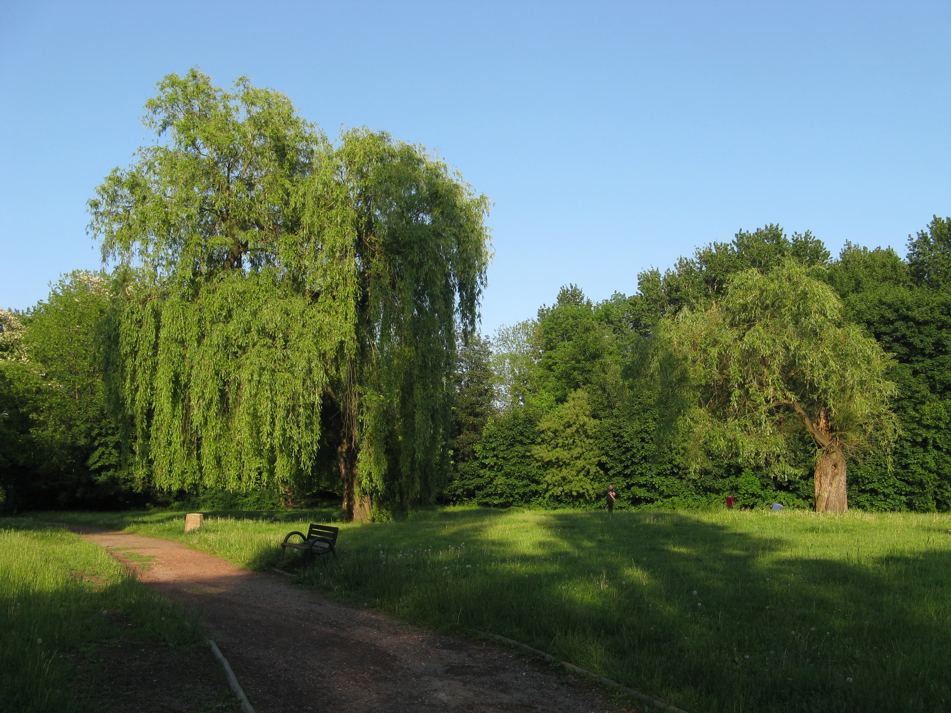 Adam Mickiewicz Park in Bytom