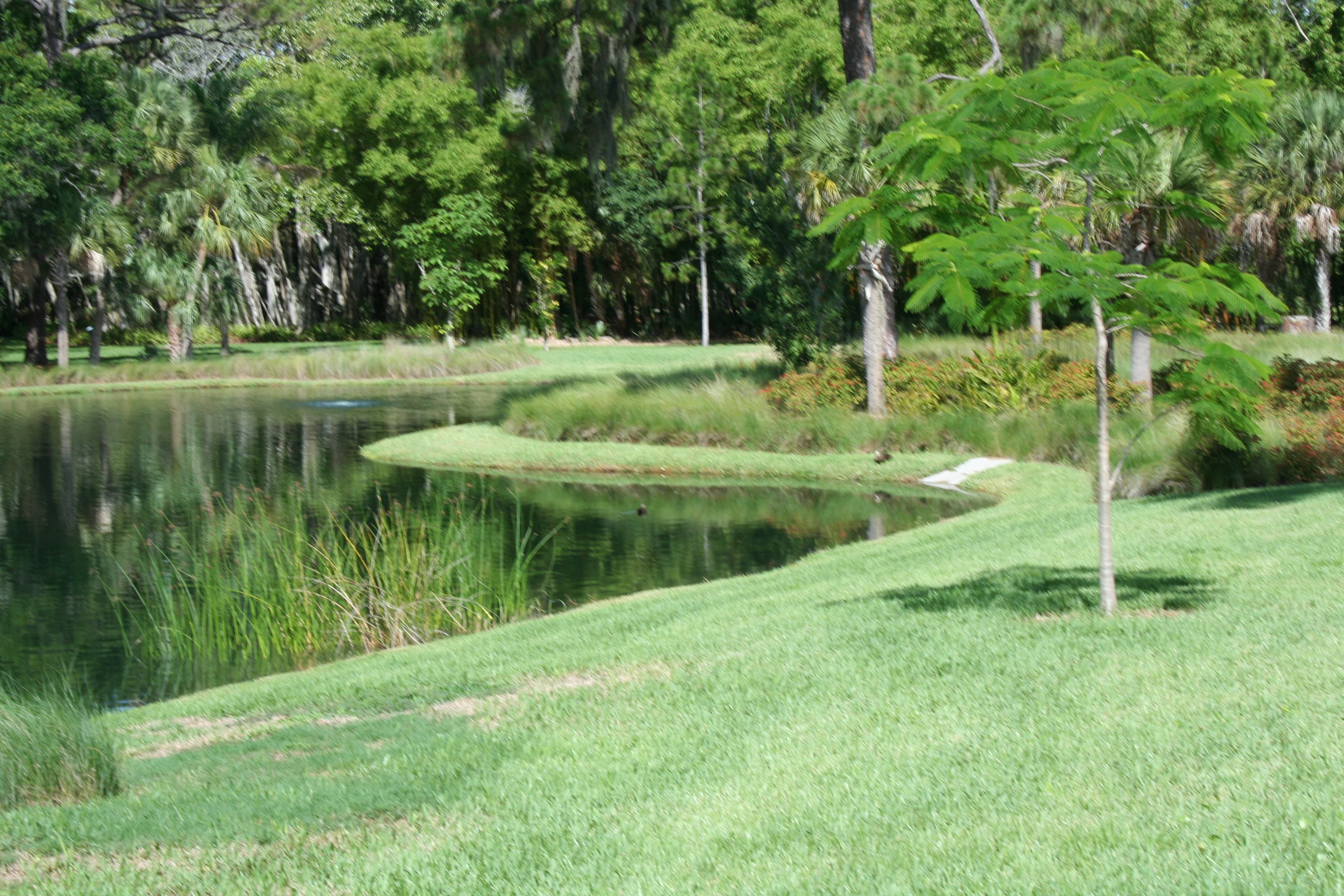 Sarasota Jungle Gardens