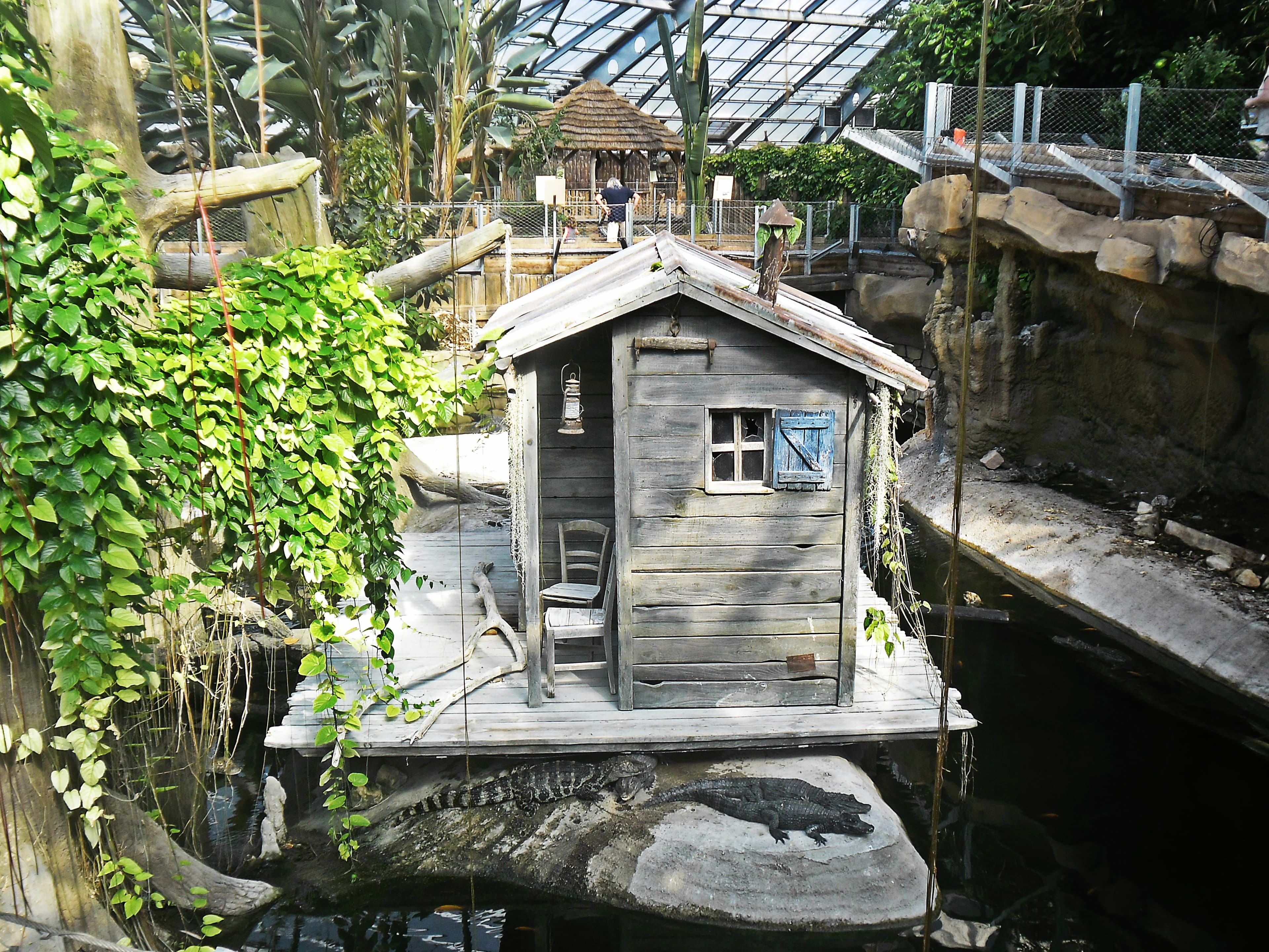 La planète des Crocodiles