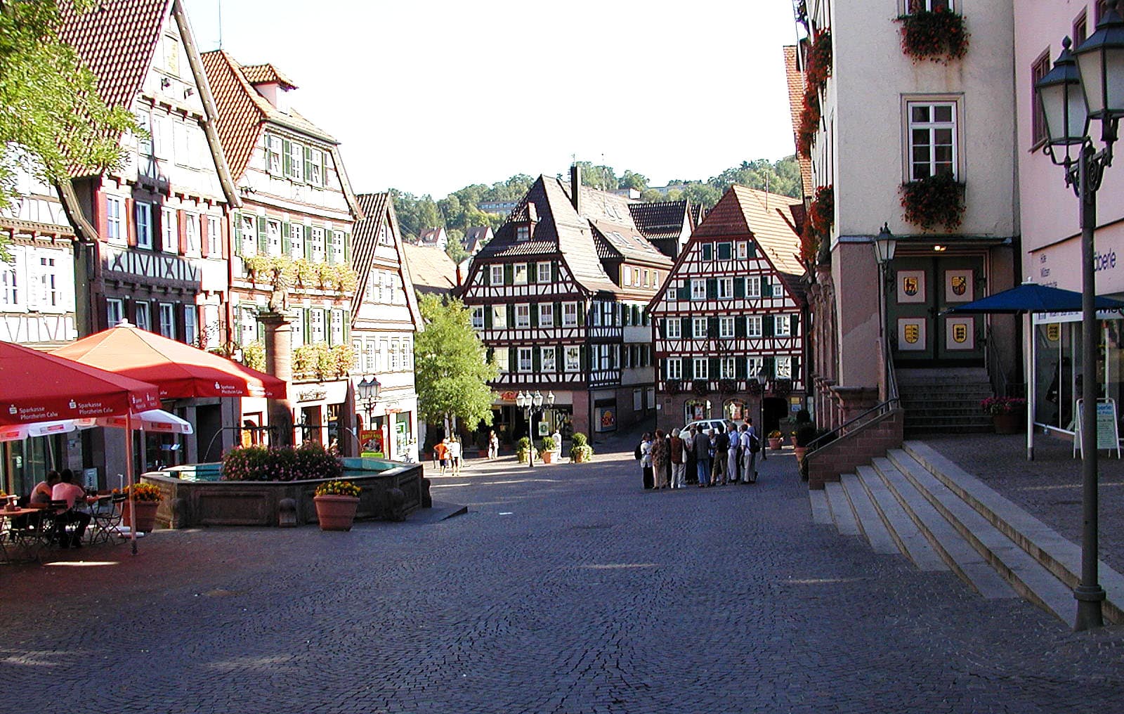 Calw