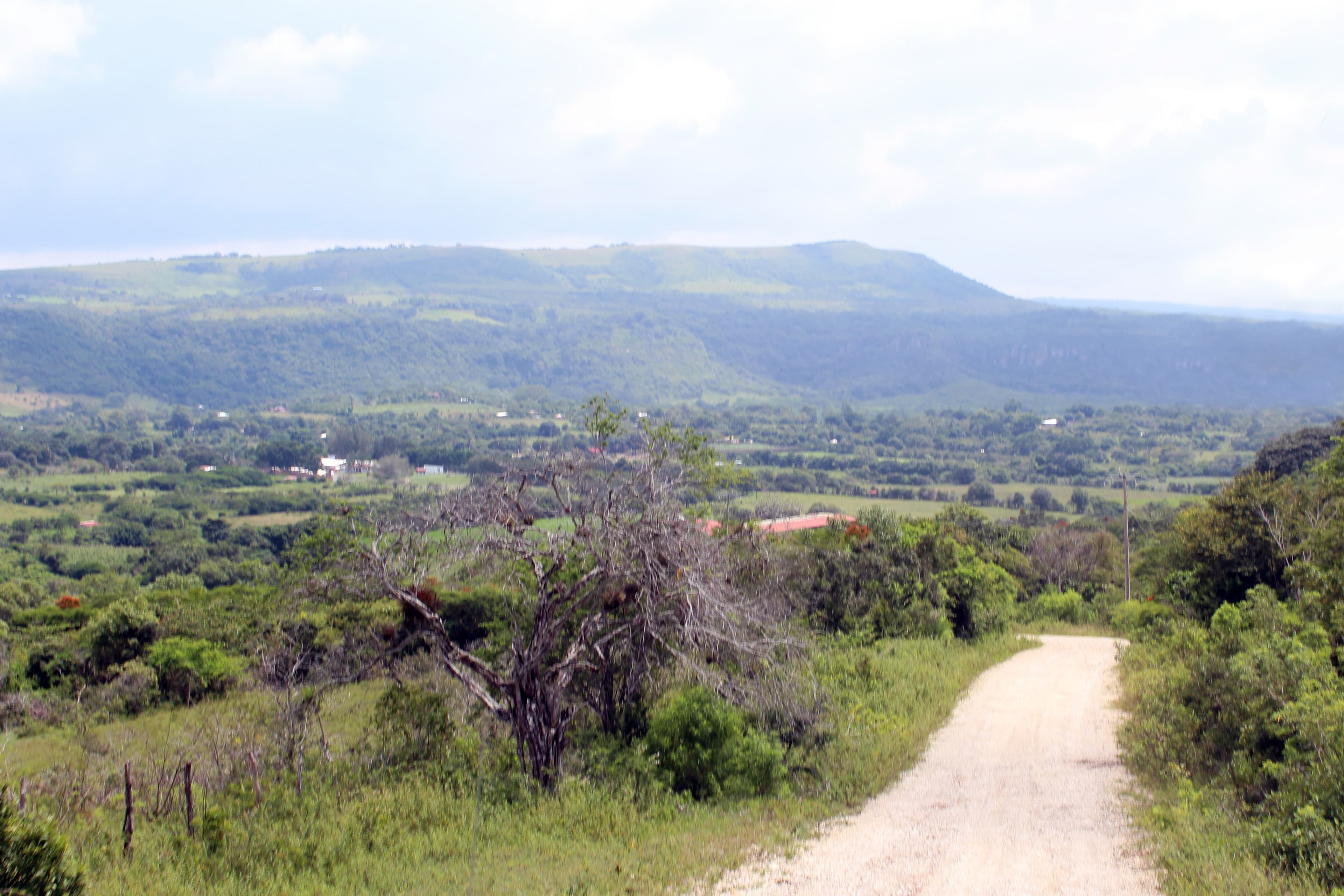 Ocozocoautla de Espinosa Municipality