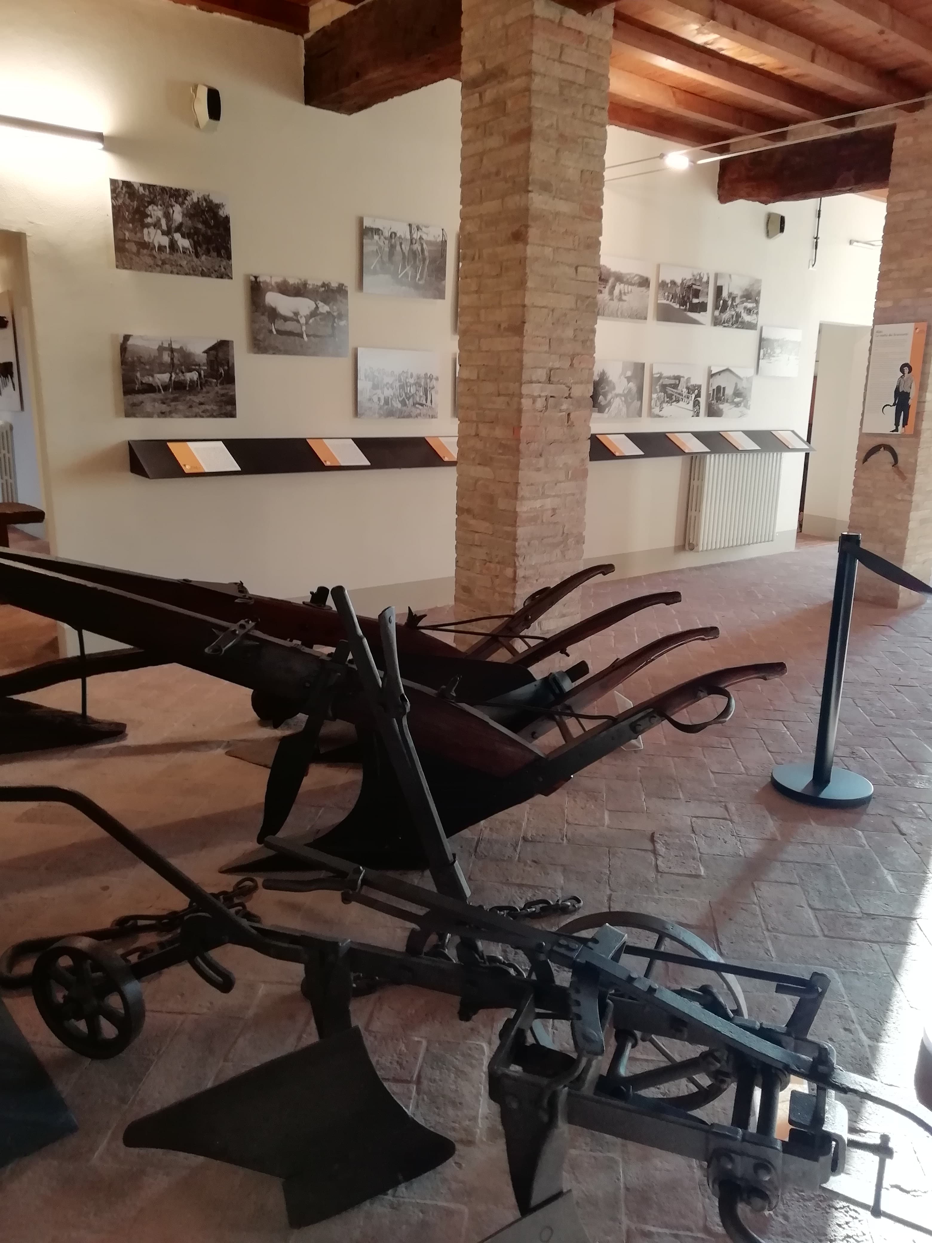 Museo del vino e della società rurale "Rosso Graspa"