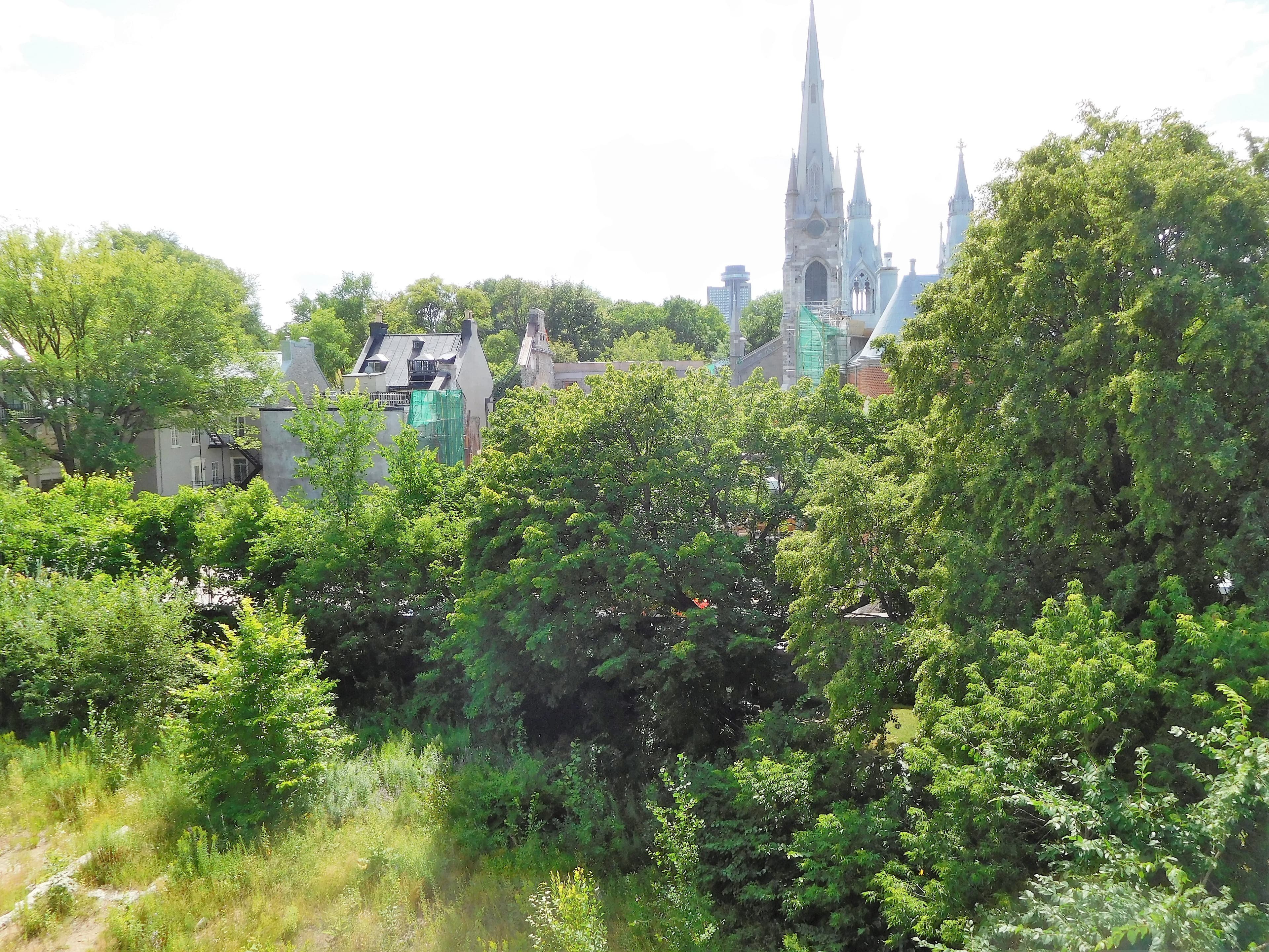 Parc du Cavalier-du-Moulin