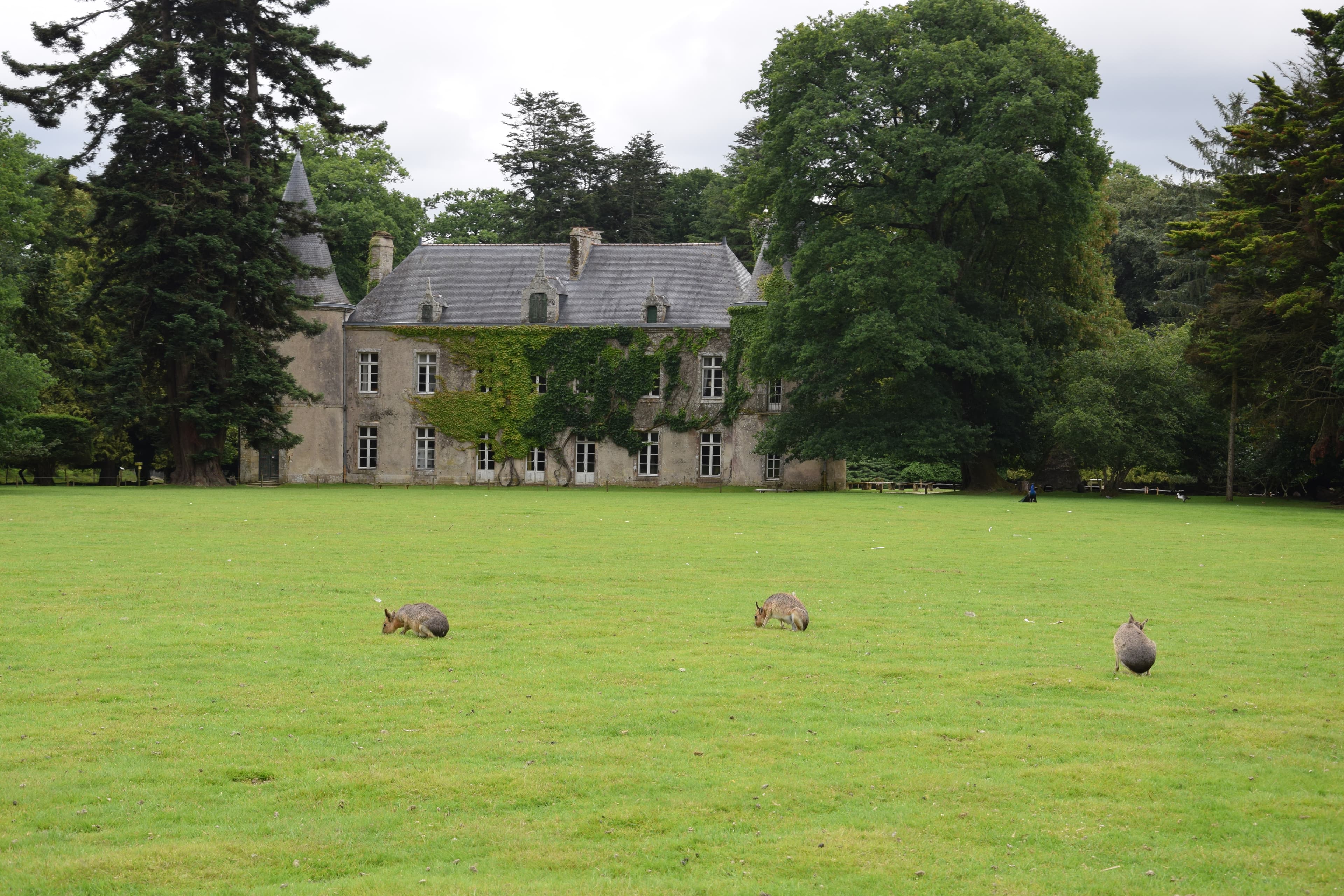 Zoo and Botanical Garden of Branféré