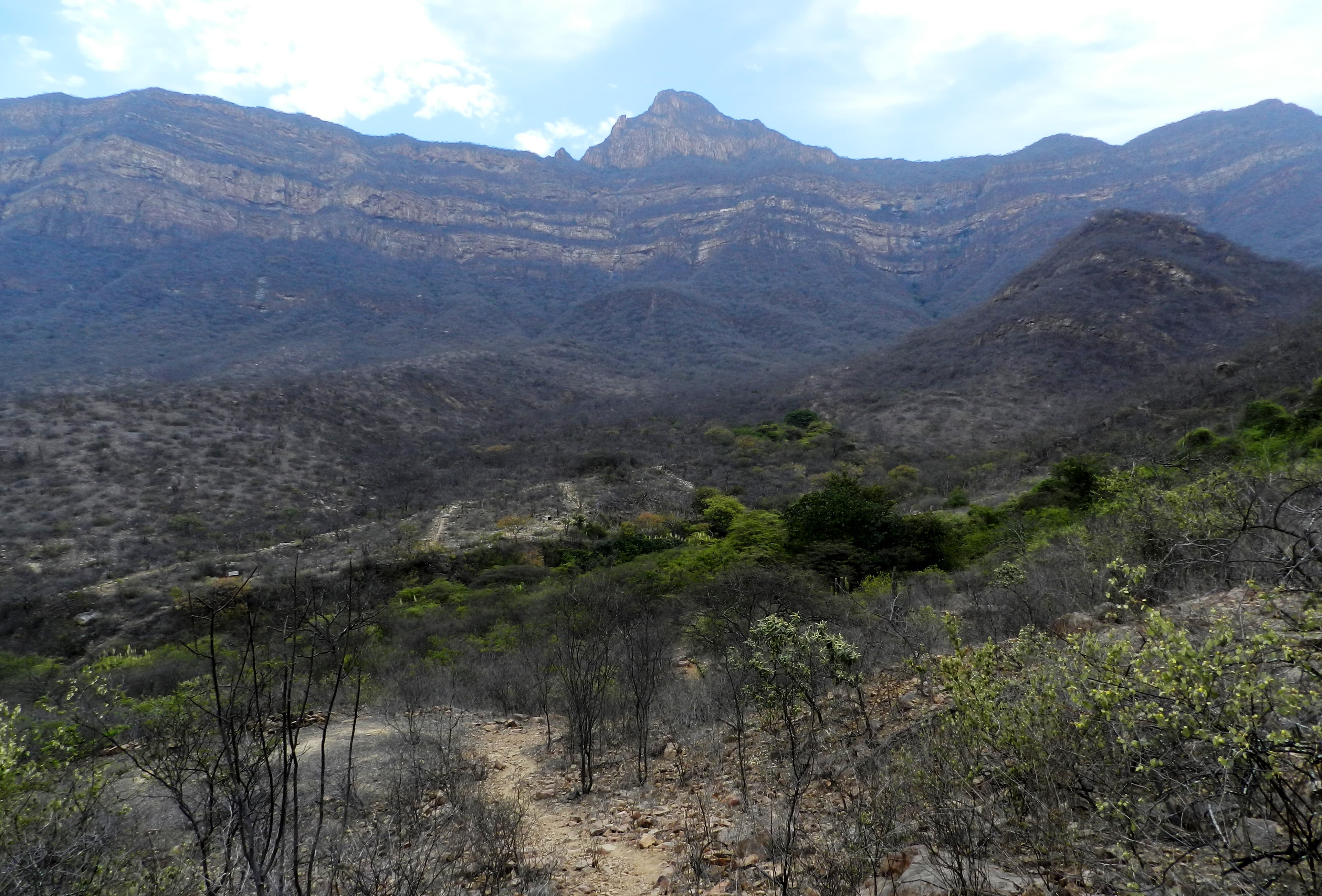 Lambayeque Department