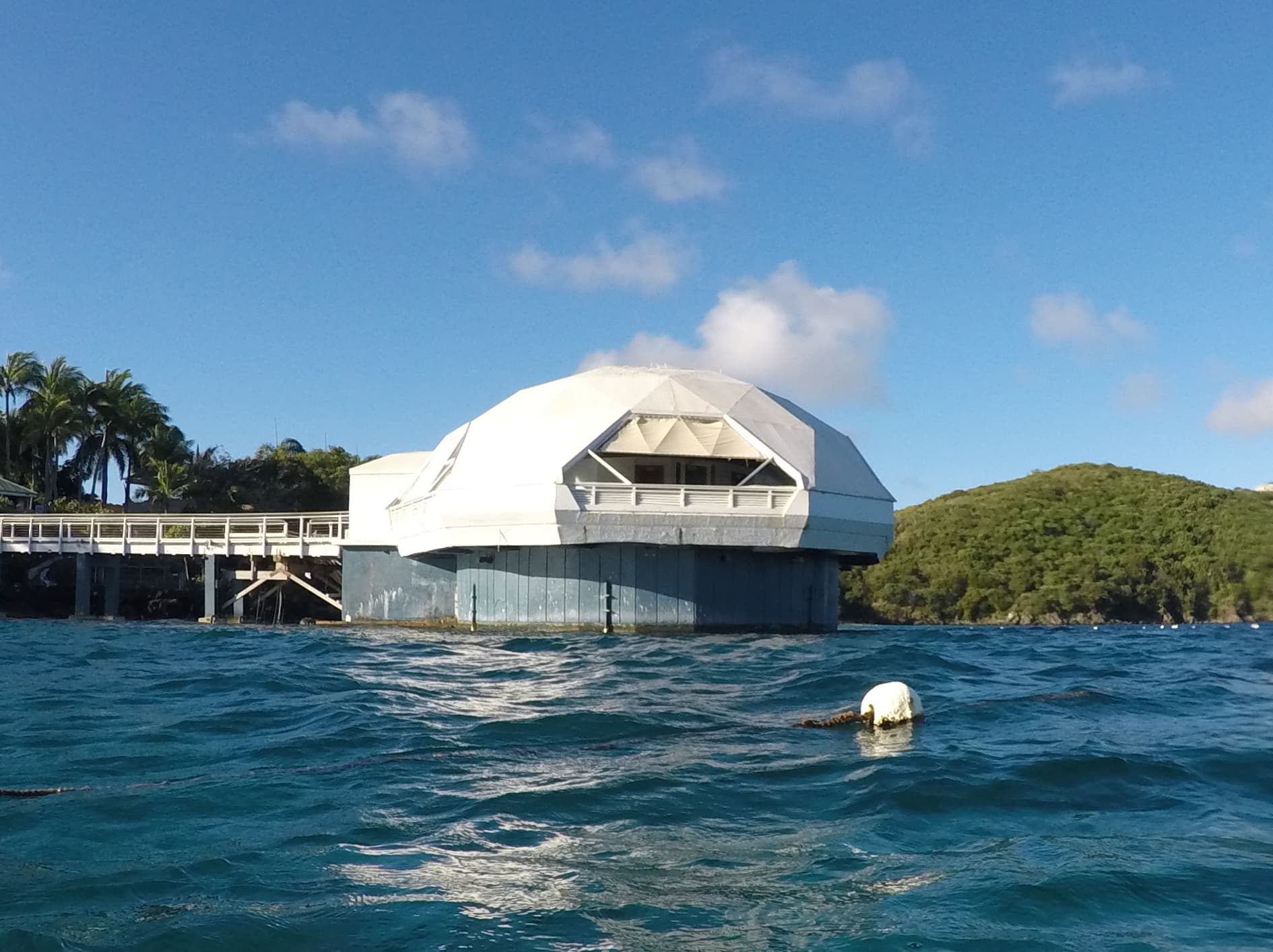 Coral World Marine Park and Observatory