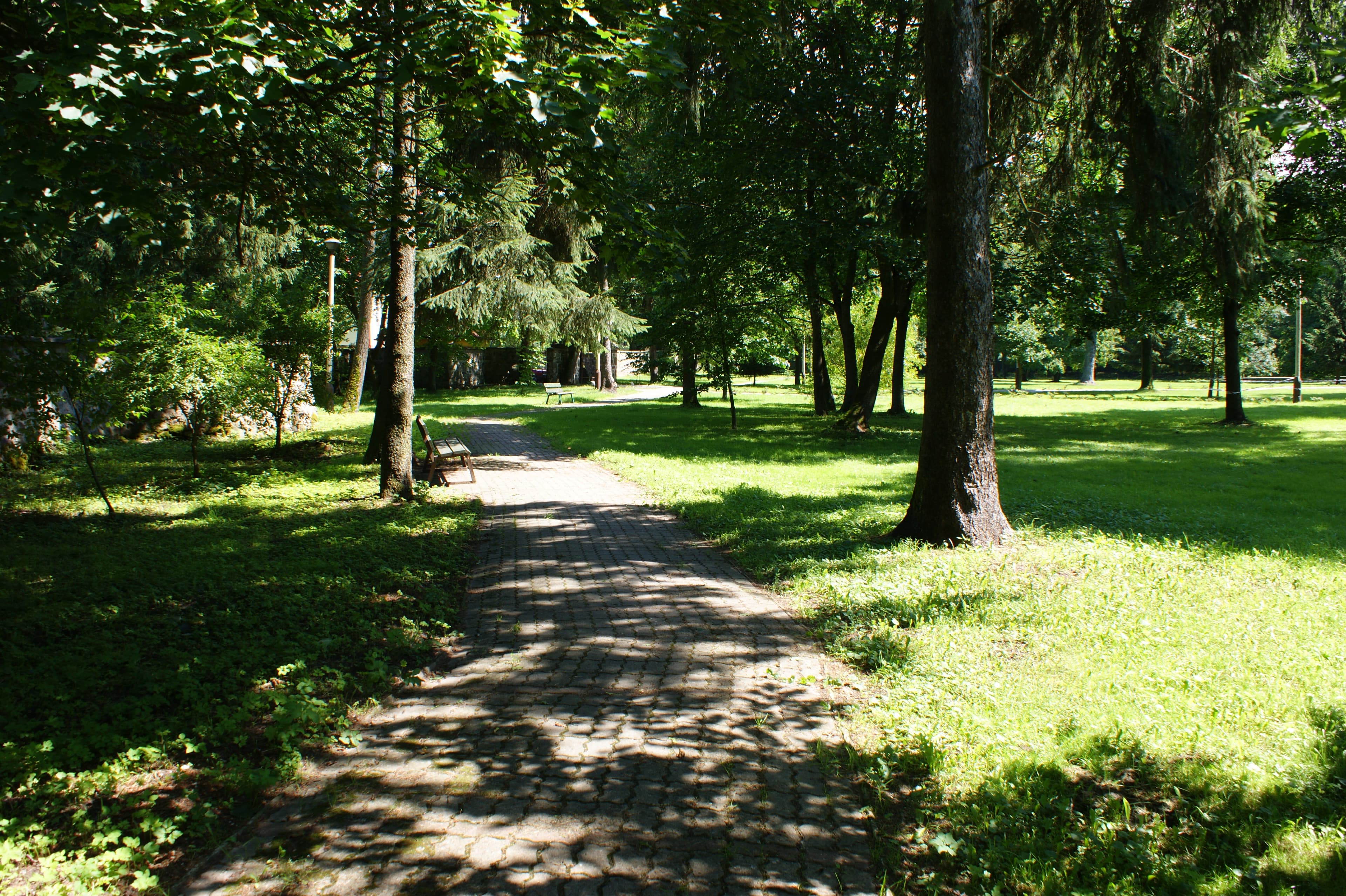 Park in Darskowo