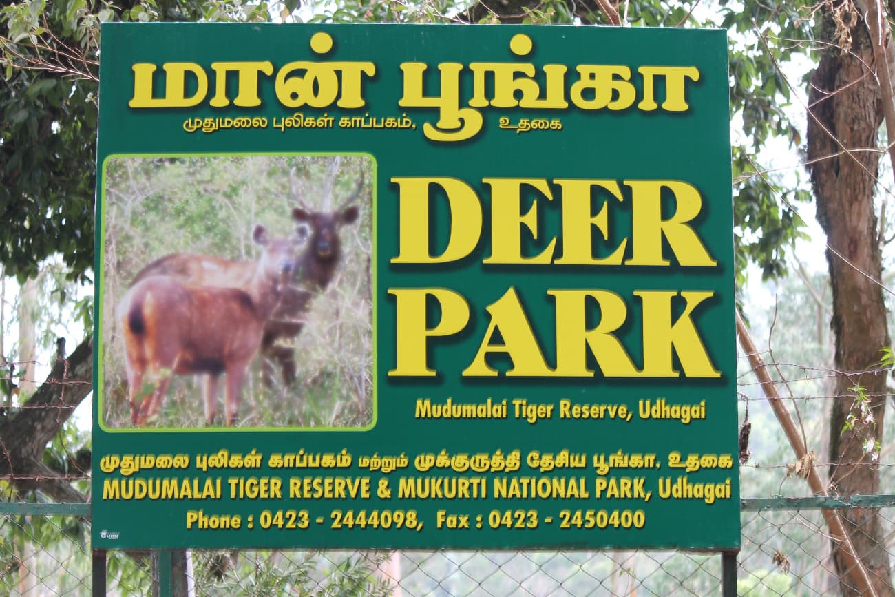 Deer Park, Ooty