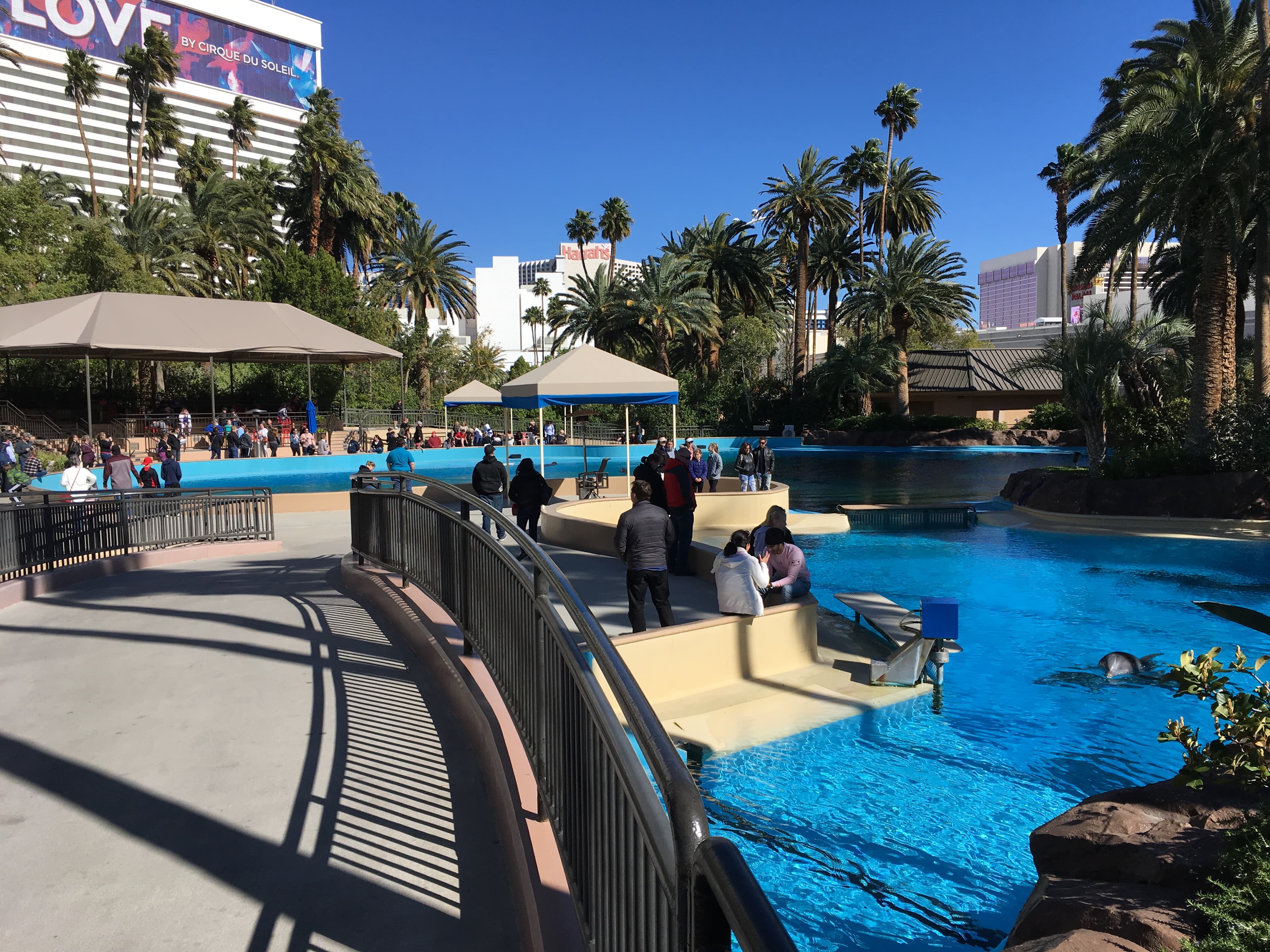 Siegfried & Roy's Secret Garden and Dolphin Habitat