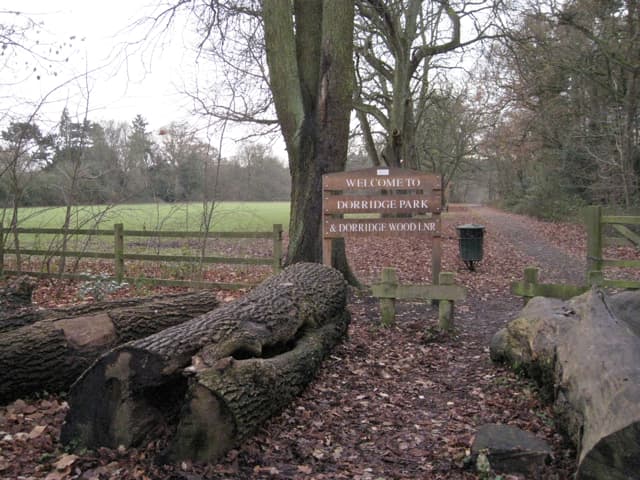 Dorridge Wood