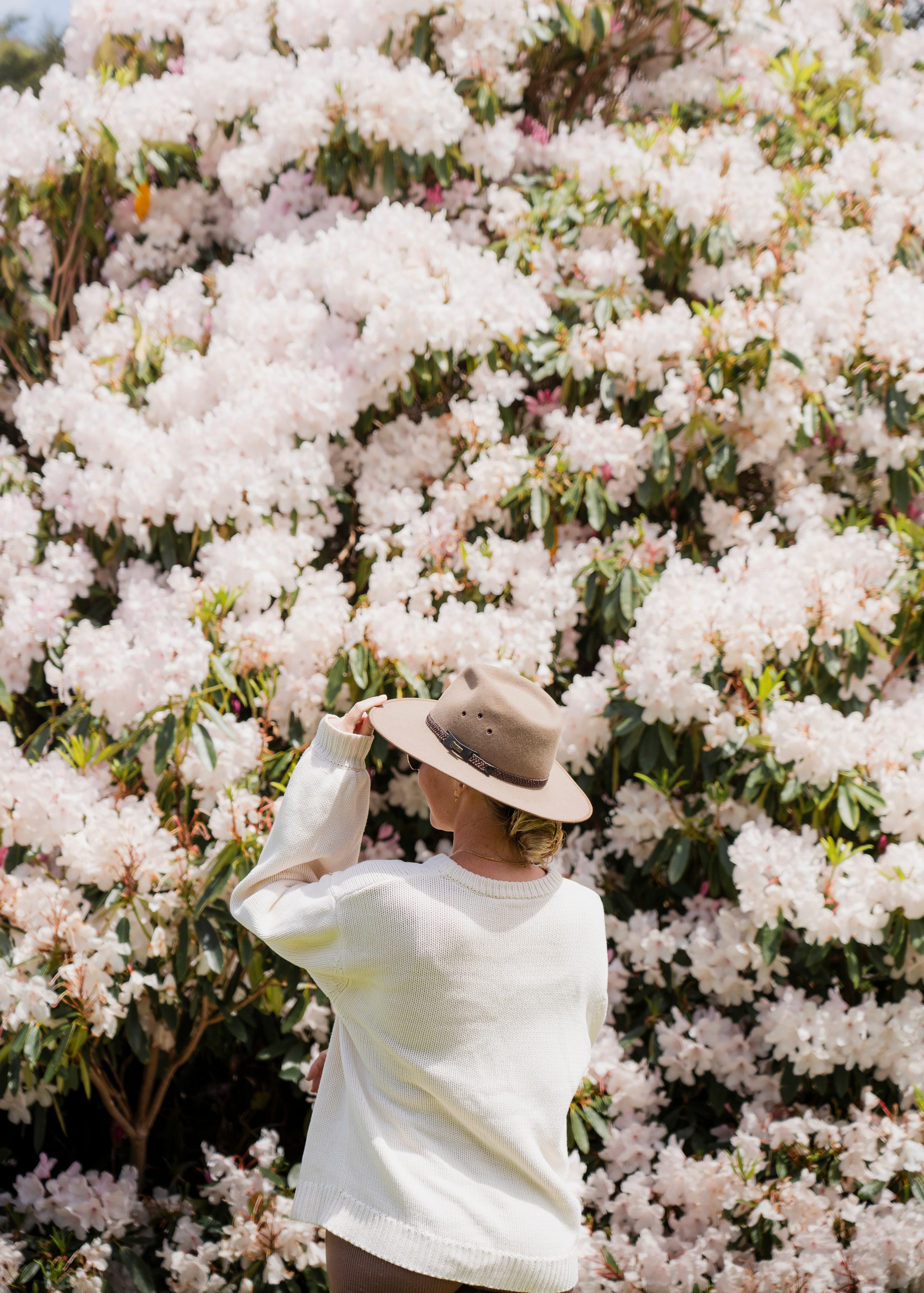 Awa Awa Rata Reserve