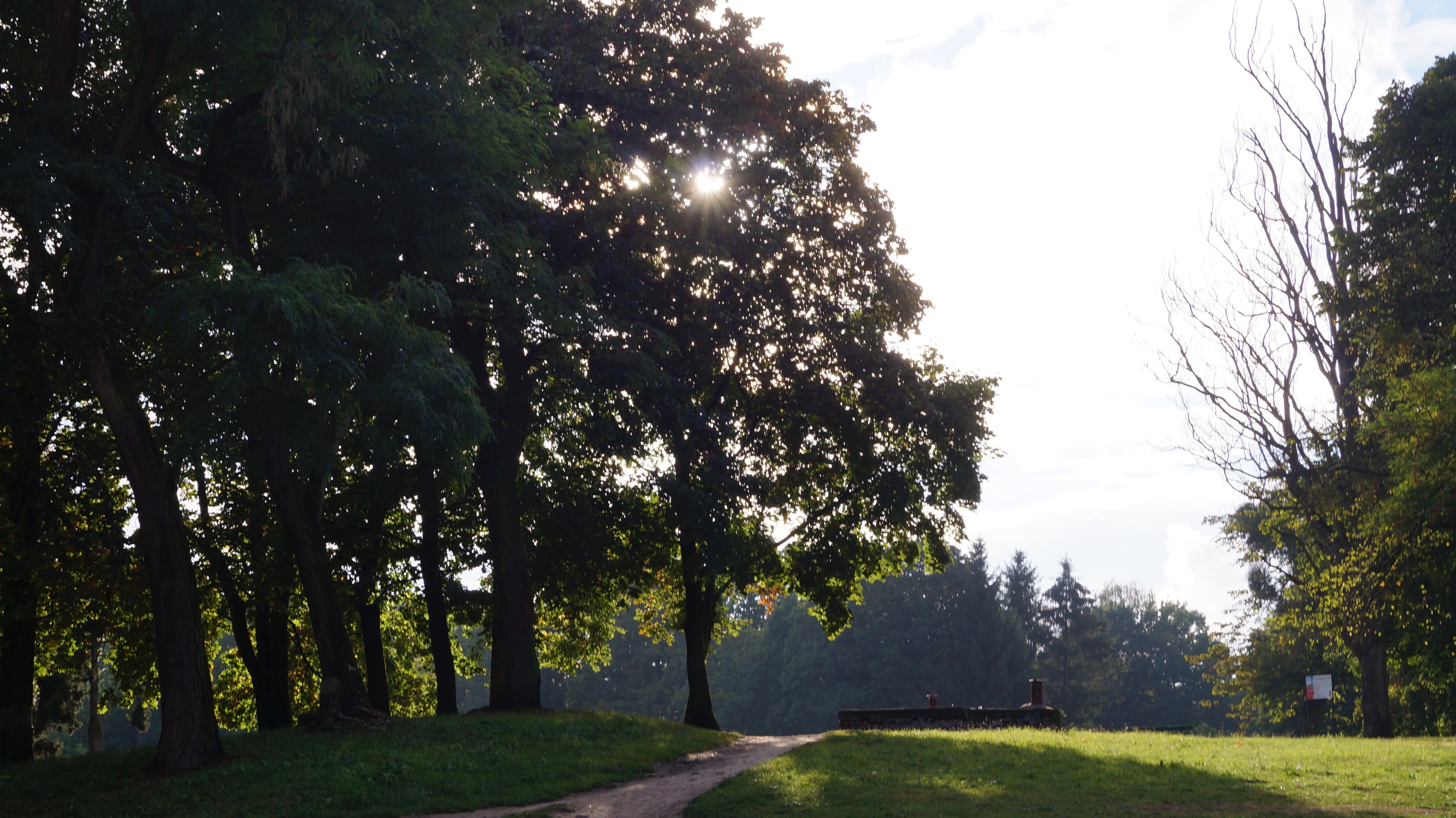 Modrzewie Park in Elbląg