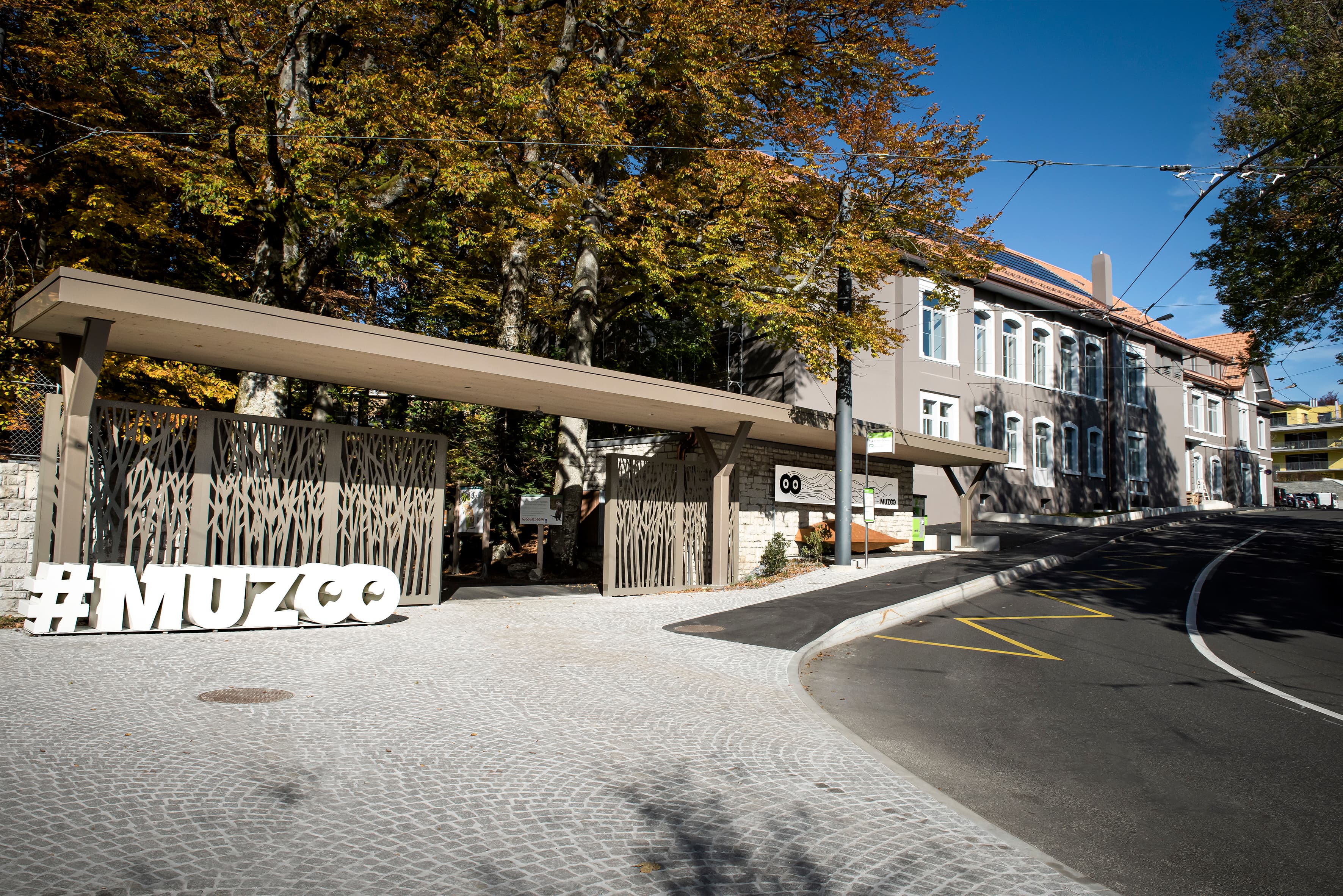 Bois du Petit-Château