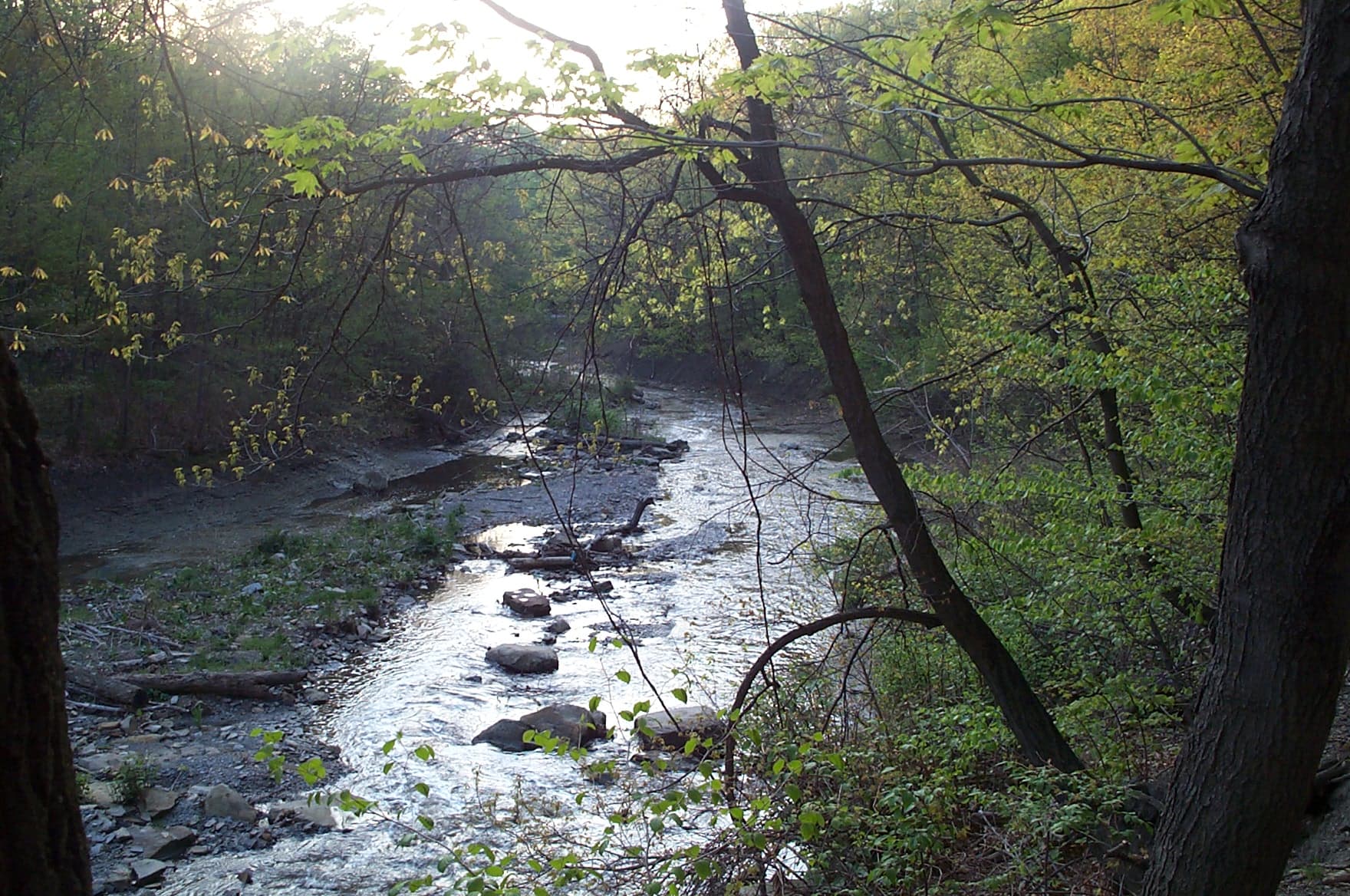 Euclid Creek Reservation