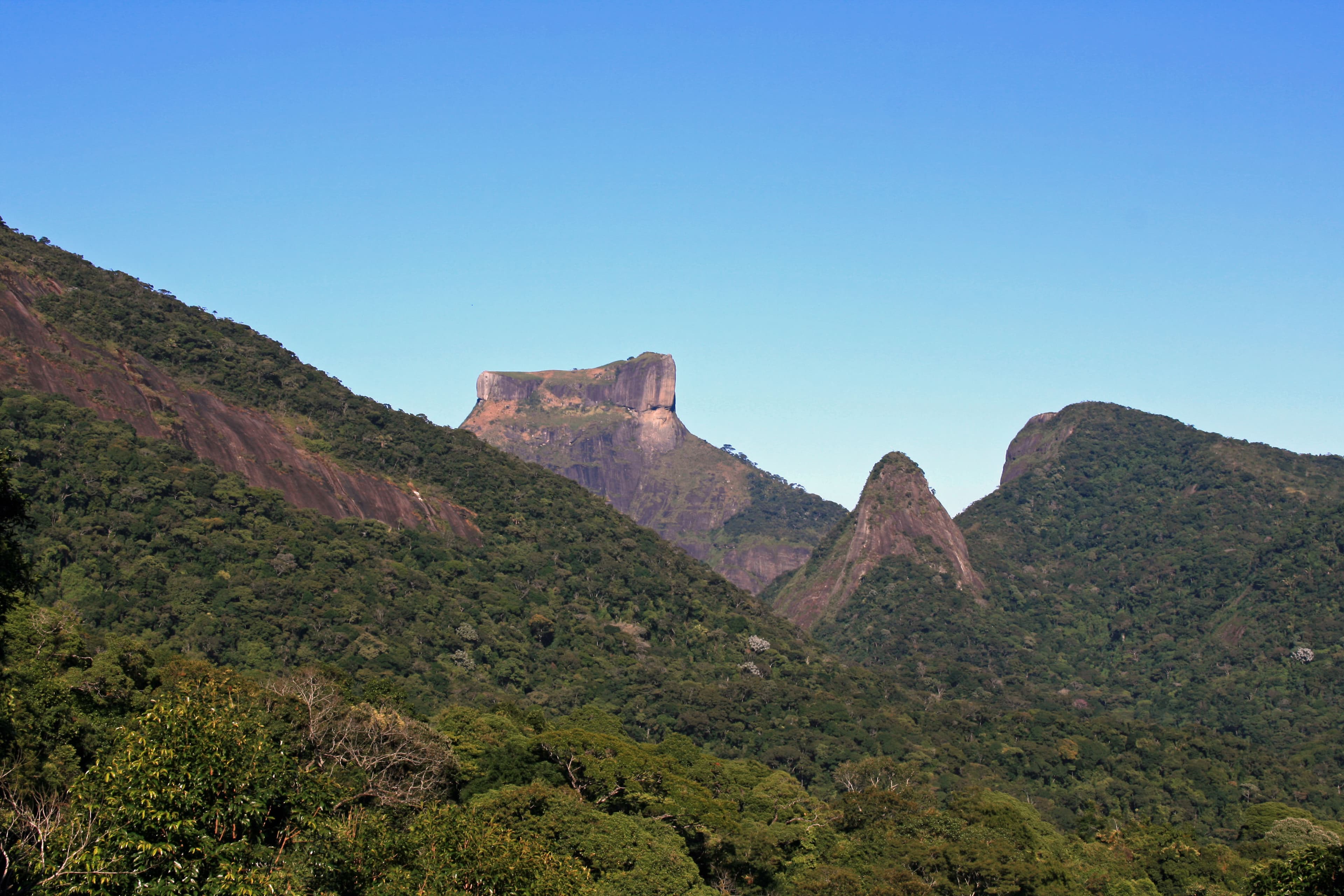Tijuca National Park