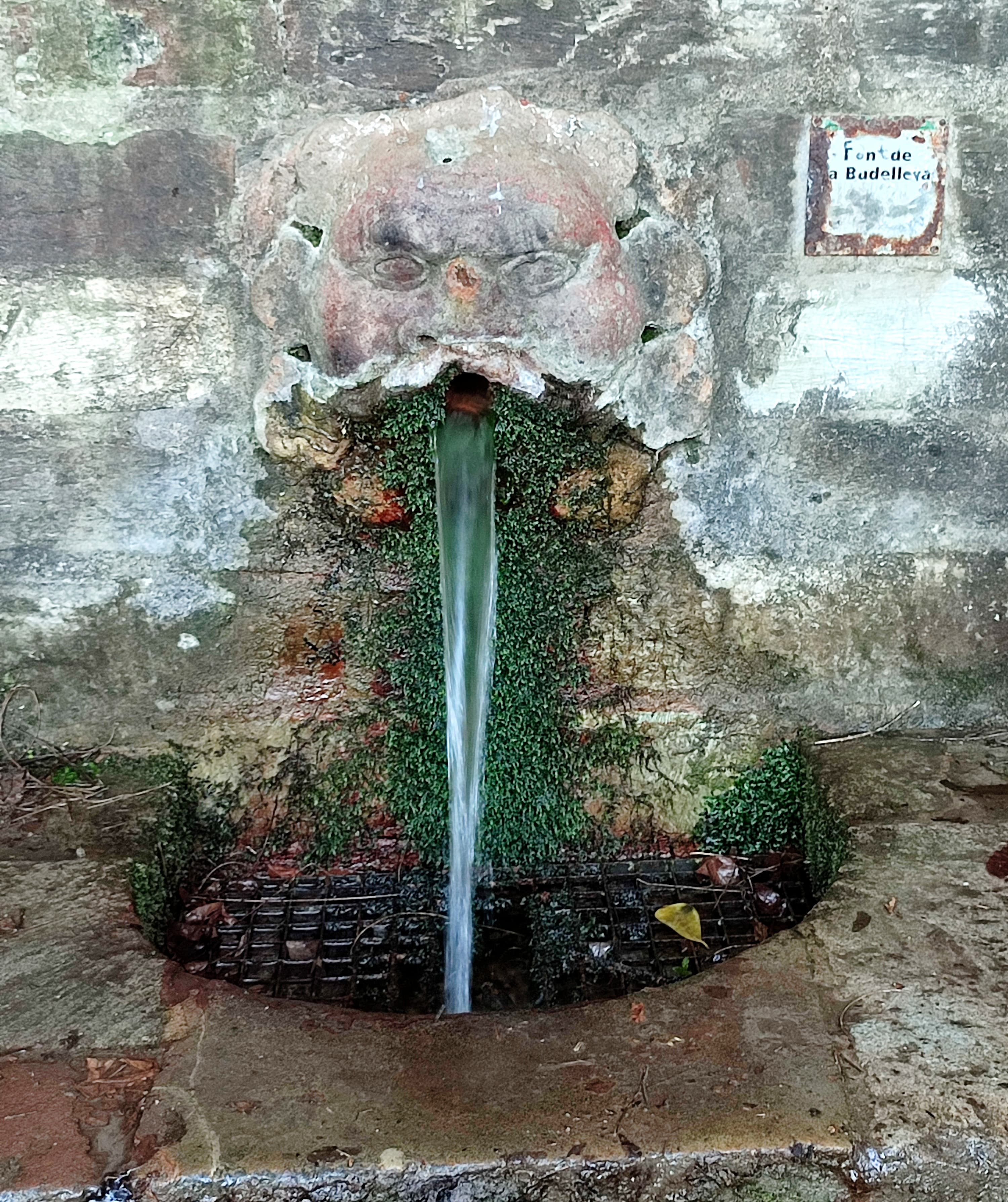 Font de la Budellera