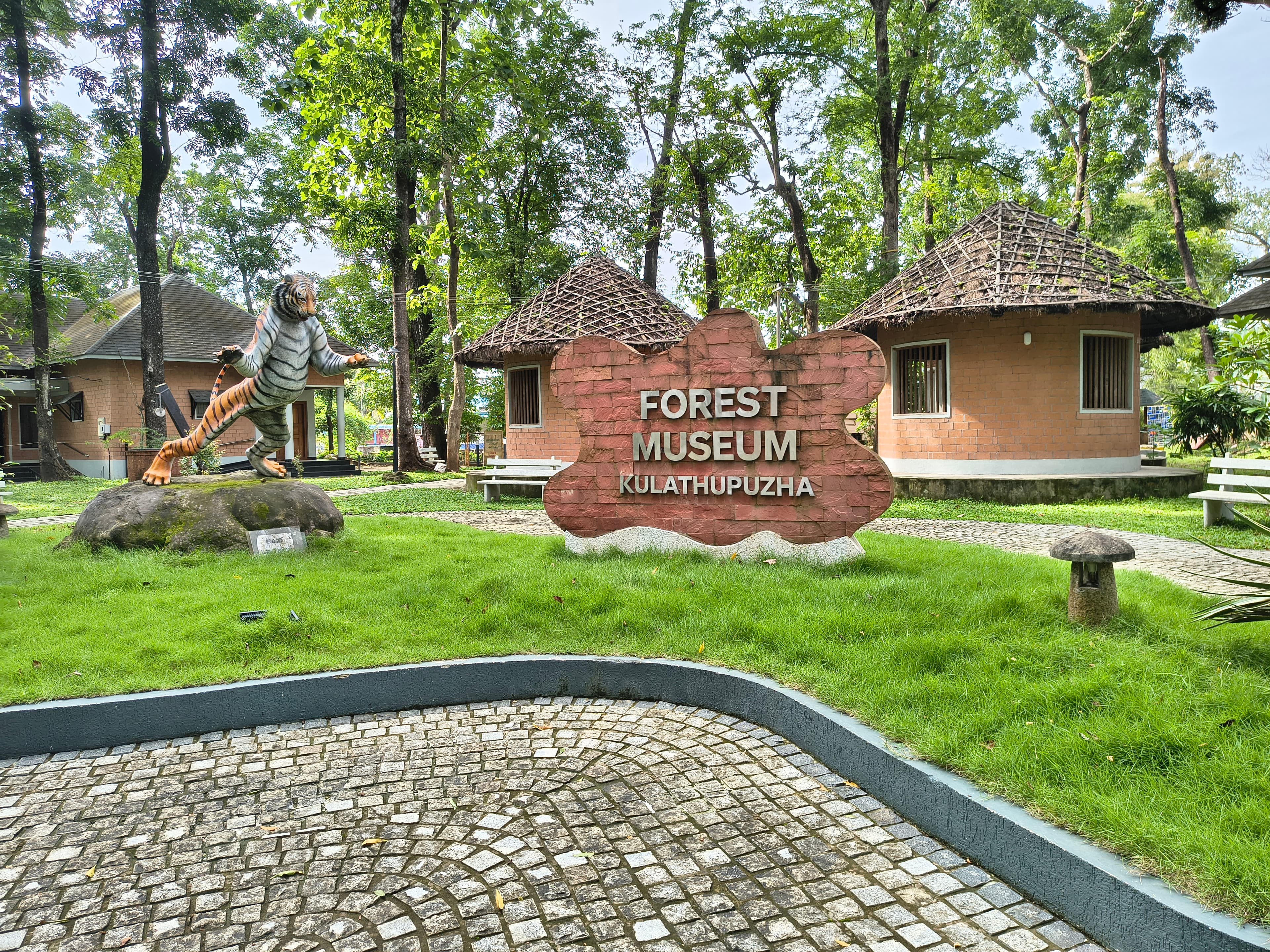 Kulathupuzha Forest Museum