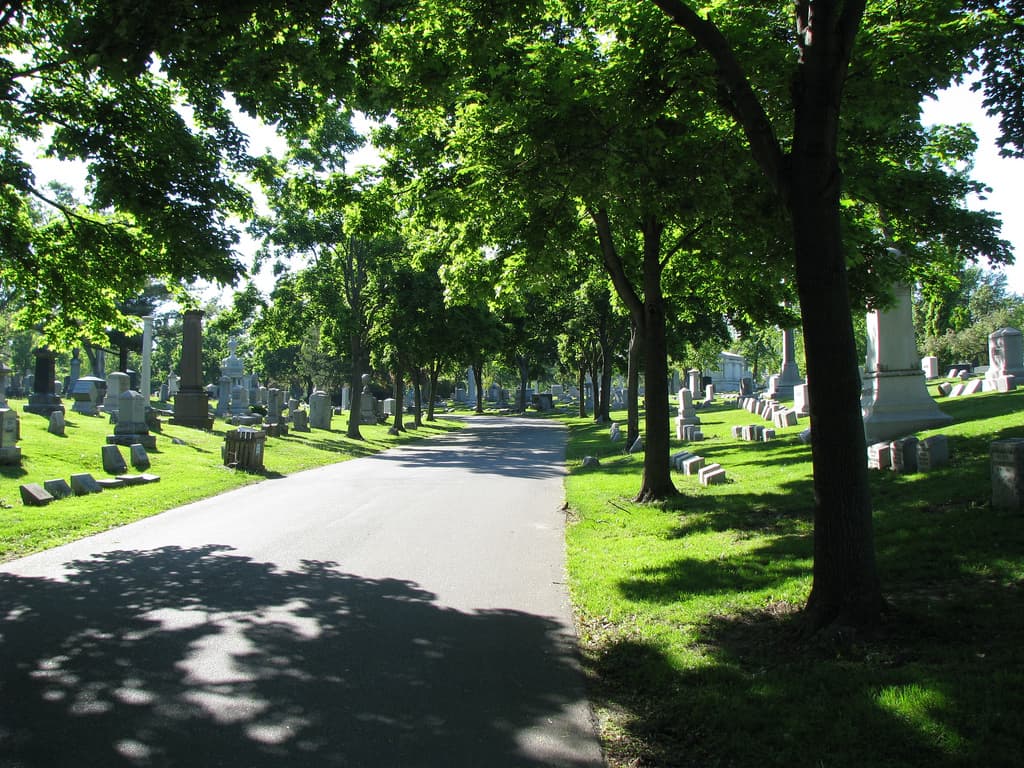Forest Lawn Cemetery