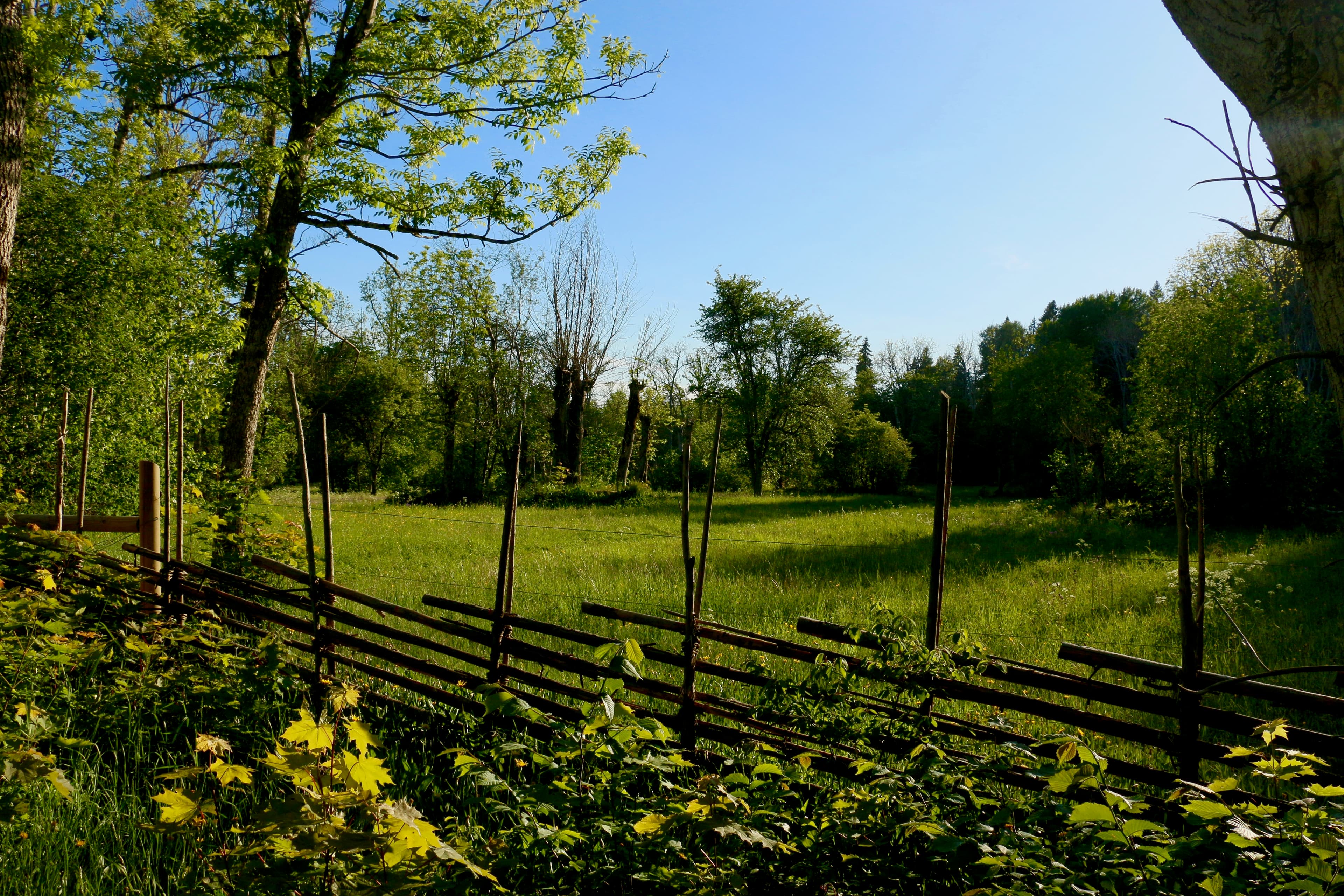 Garphyttan National Park