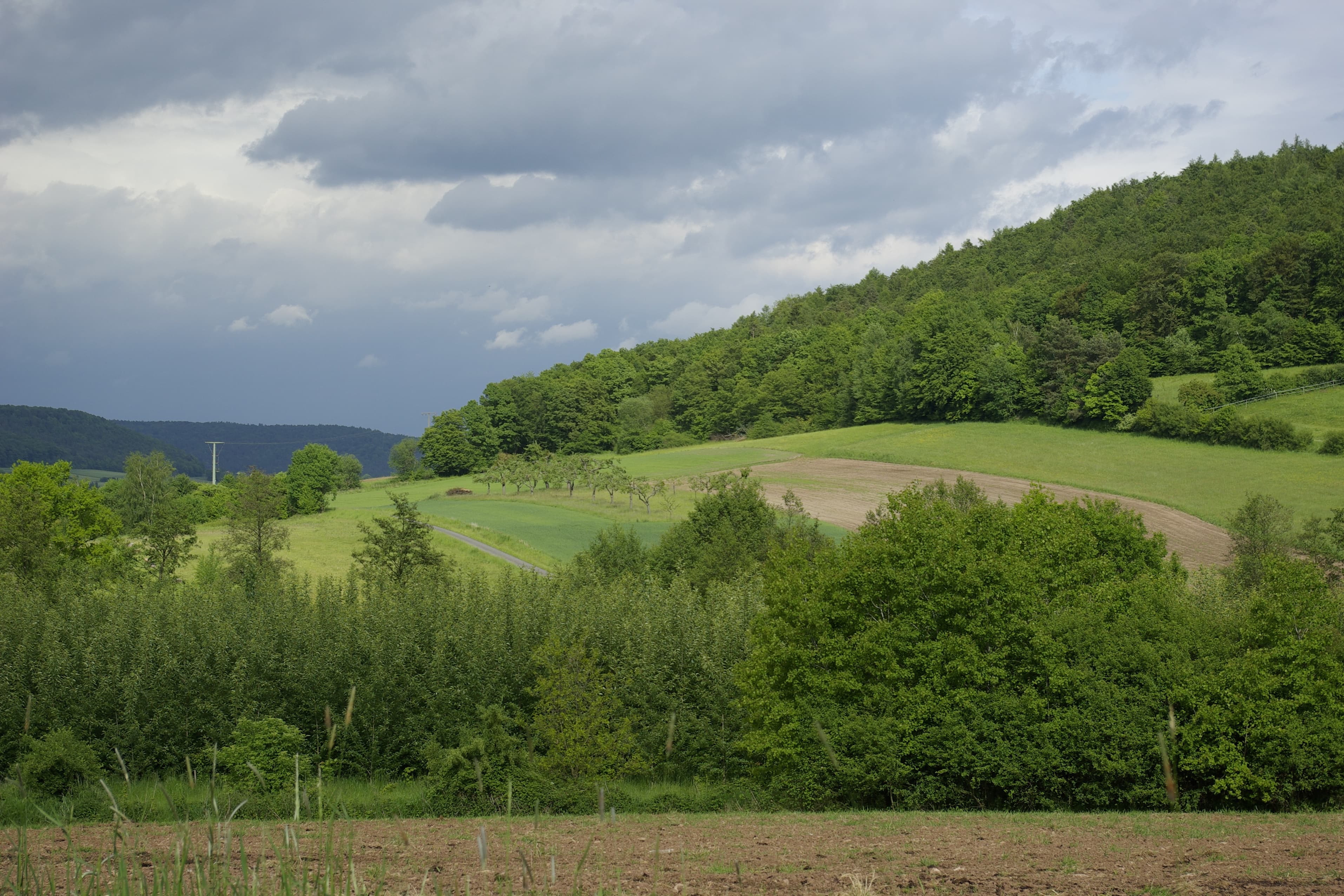 Steigerwald Nature Park