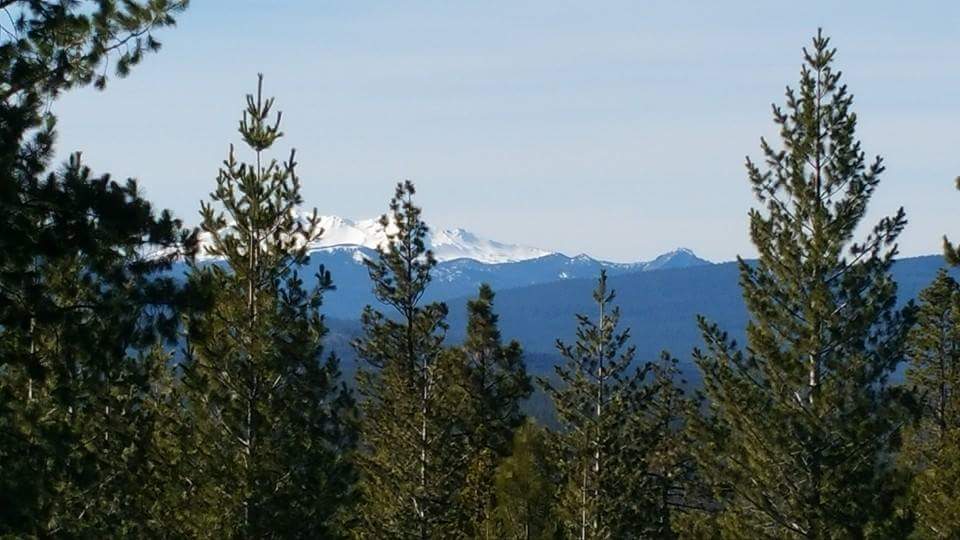 Gilchrist State Forest