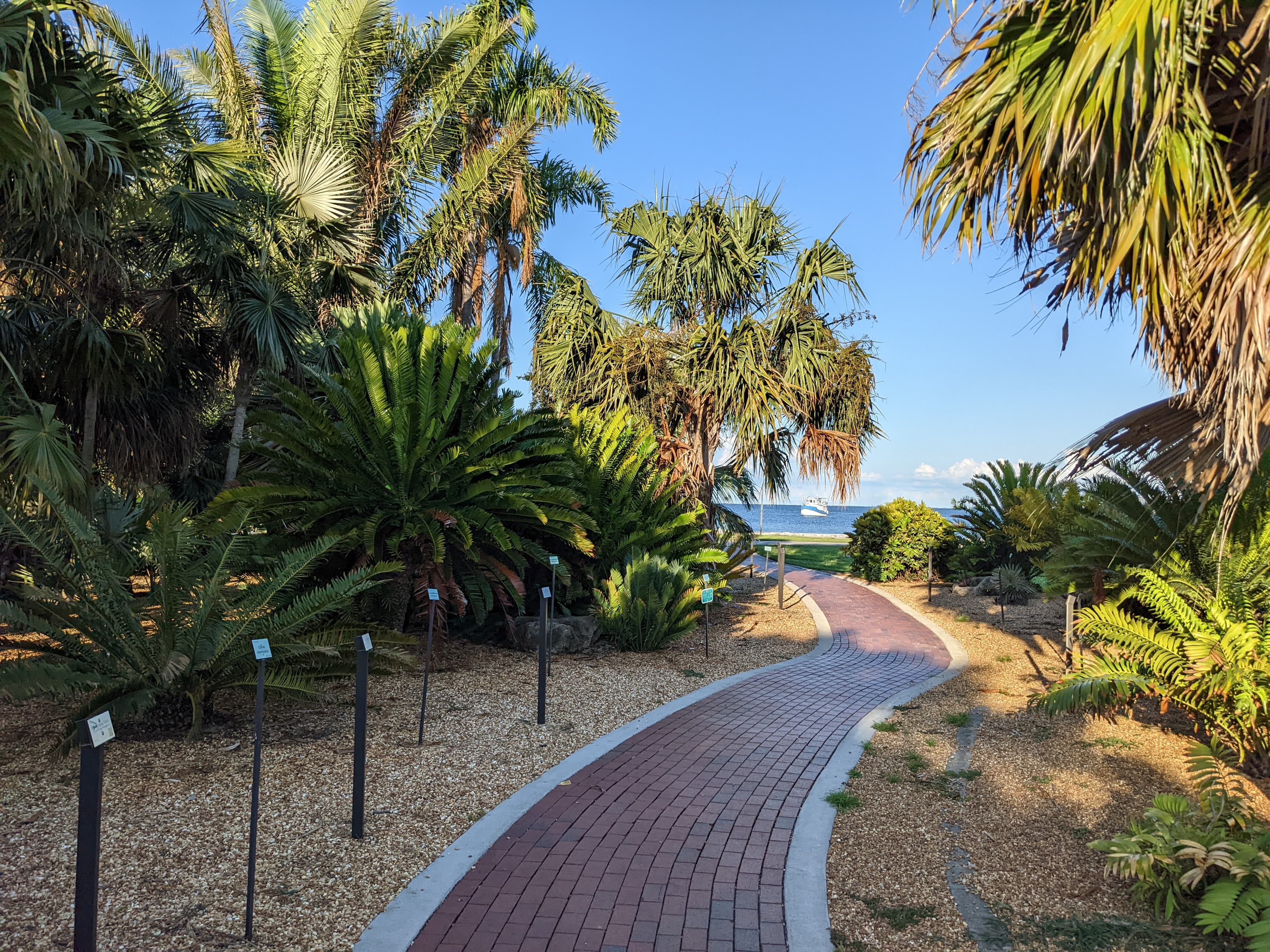 Gizella Kopsick Palm Arboretum