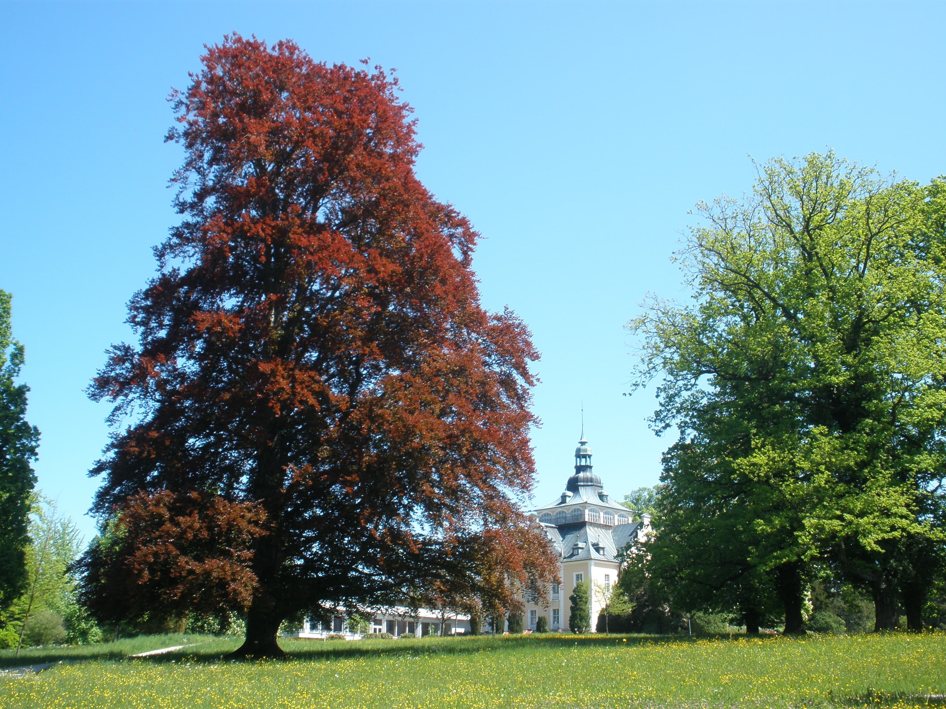 Toscanapark, Gmunden
