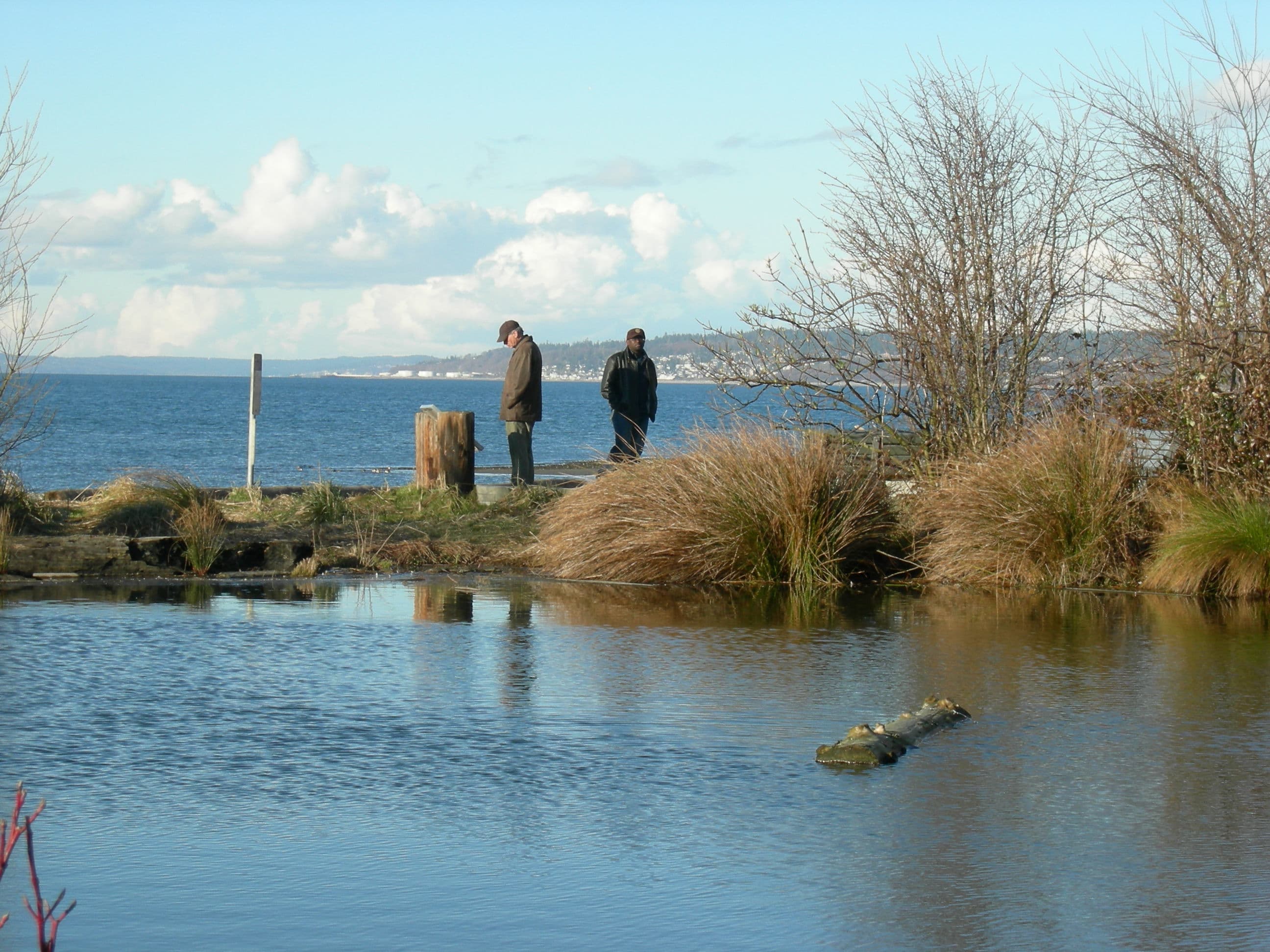 Golden Gardens Park